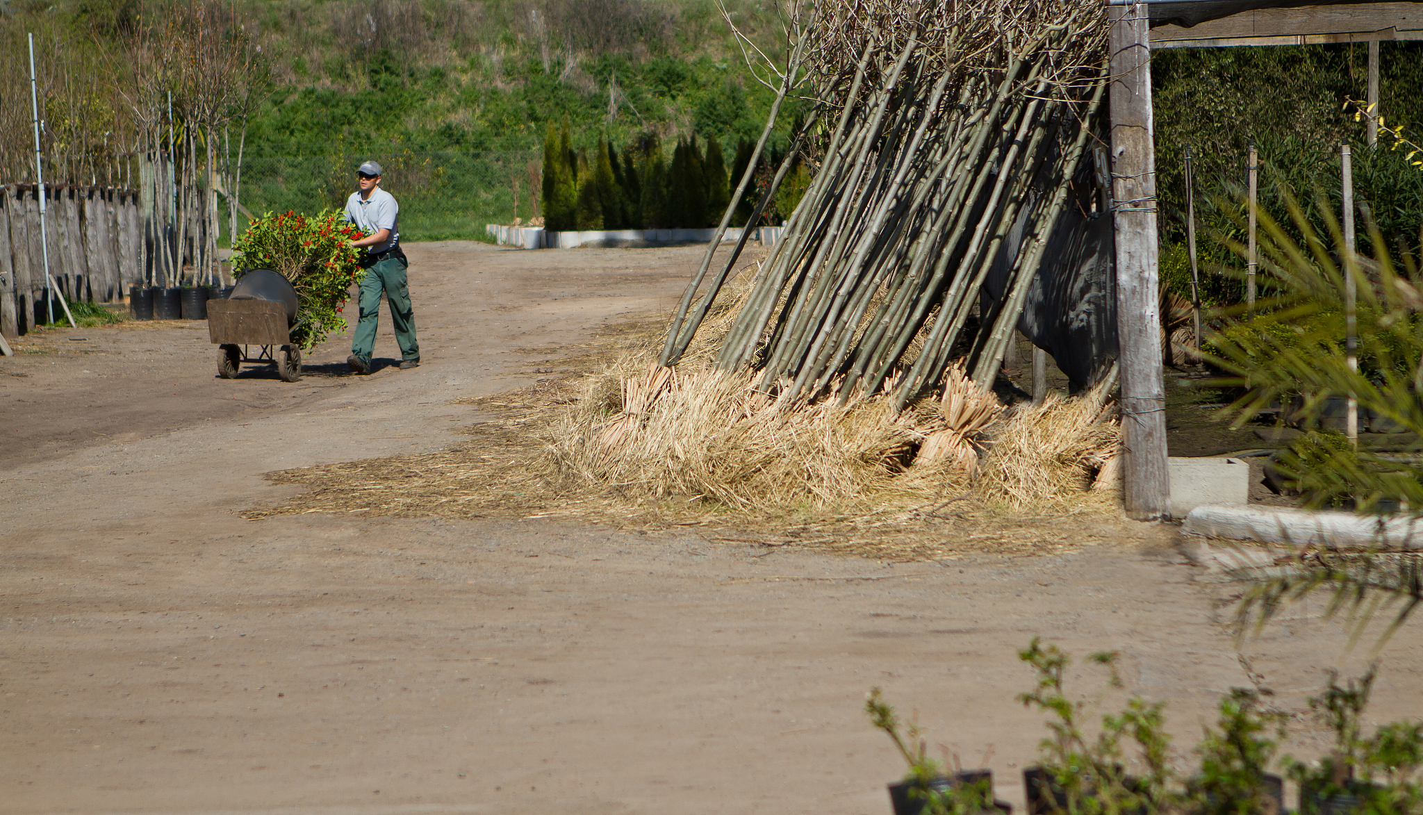 营口市农业工程学校招生简章
