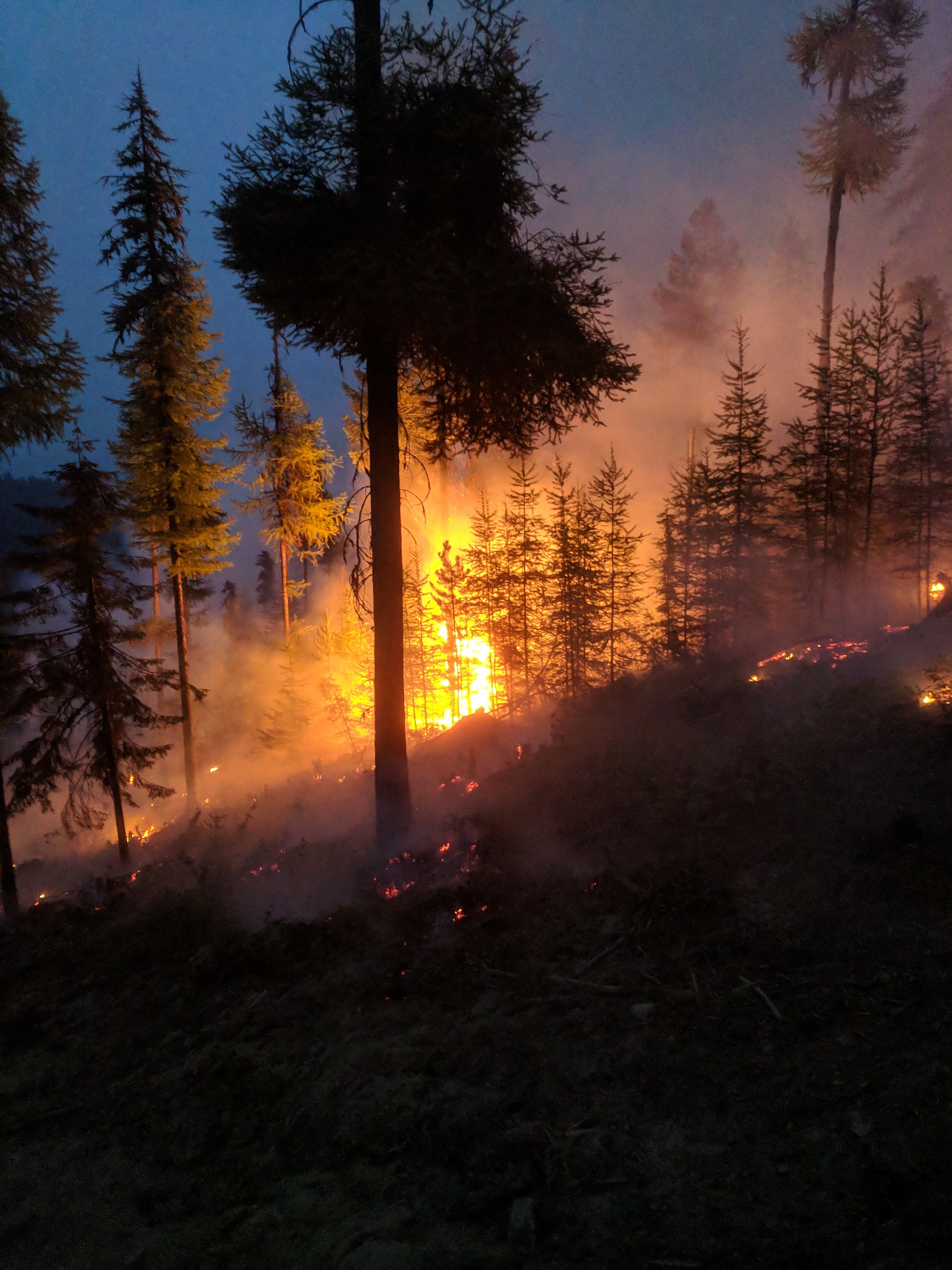 检查以下文字的语法和写作问题：野火是北美洲森林损失的主要驱动因素对当地生态系统和人类社区造成了严重影响。尽管全球范围内的年过火面积呈下降趋势近几十年来在气候变暖的影响下北美洲的森林火灾仍不断增加。作为北美森林火灾的重要组成部分高强度的树冠火比地表火传播得更快燃烧得更猛烈有可能发展成为特大森林火灾。树冠火导致的极端森林大火会燃烧大量植被、烧死健康的成龄树木导致大量的碳和污染物排放并对森林植被构成产生