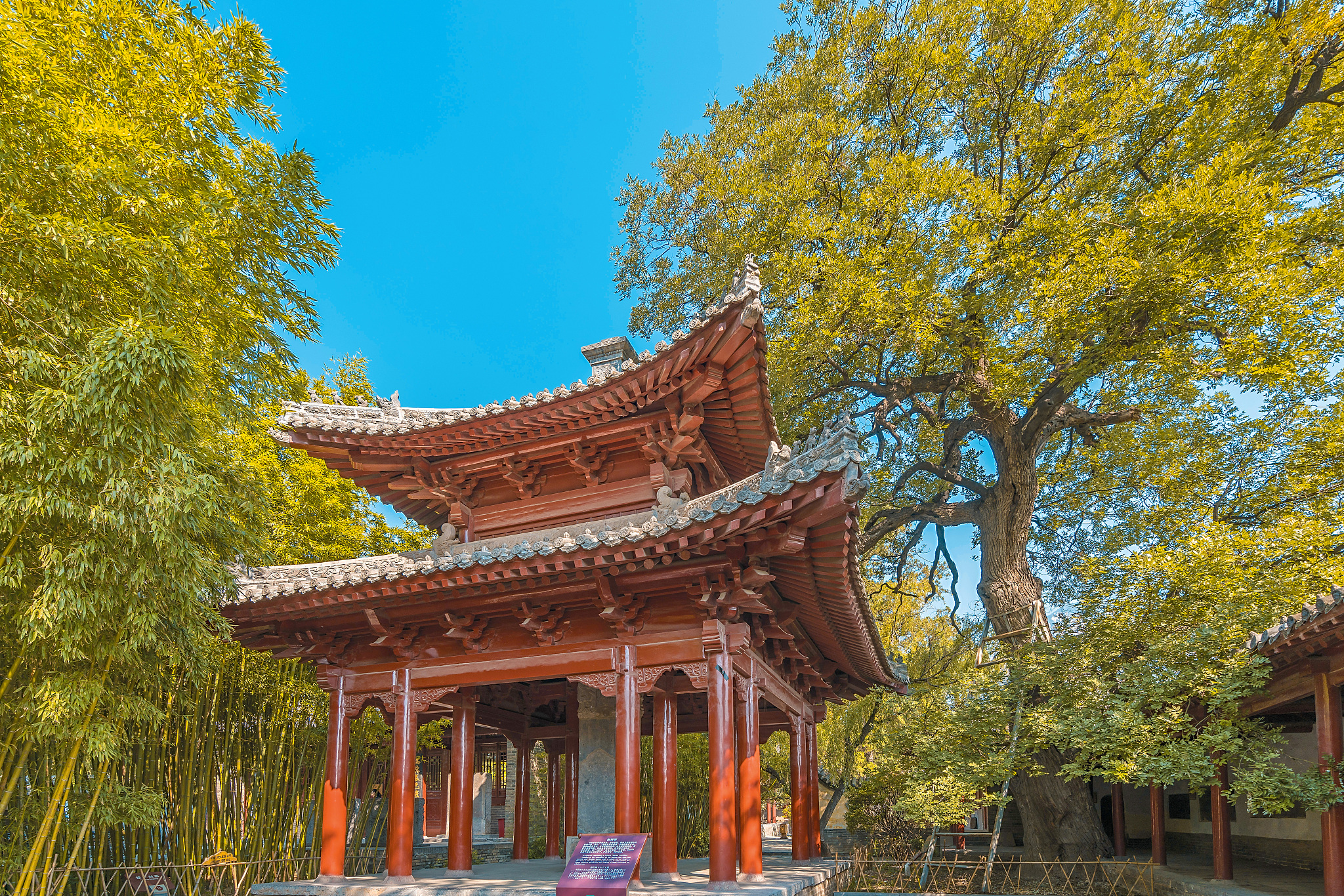 郑州旅游学校：培养未来旅游人才的摇篮