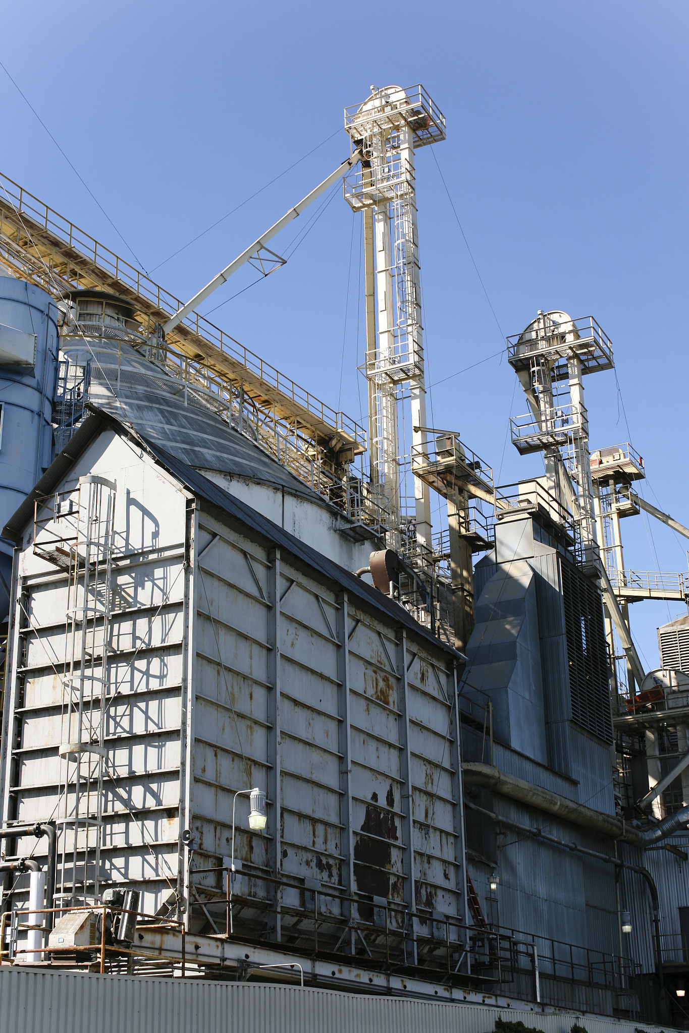 大豆产品生产情况调查：明天前往工厂查看