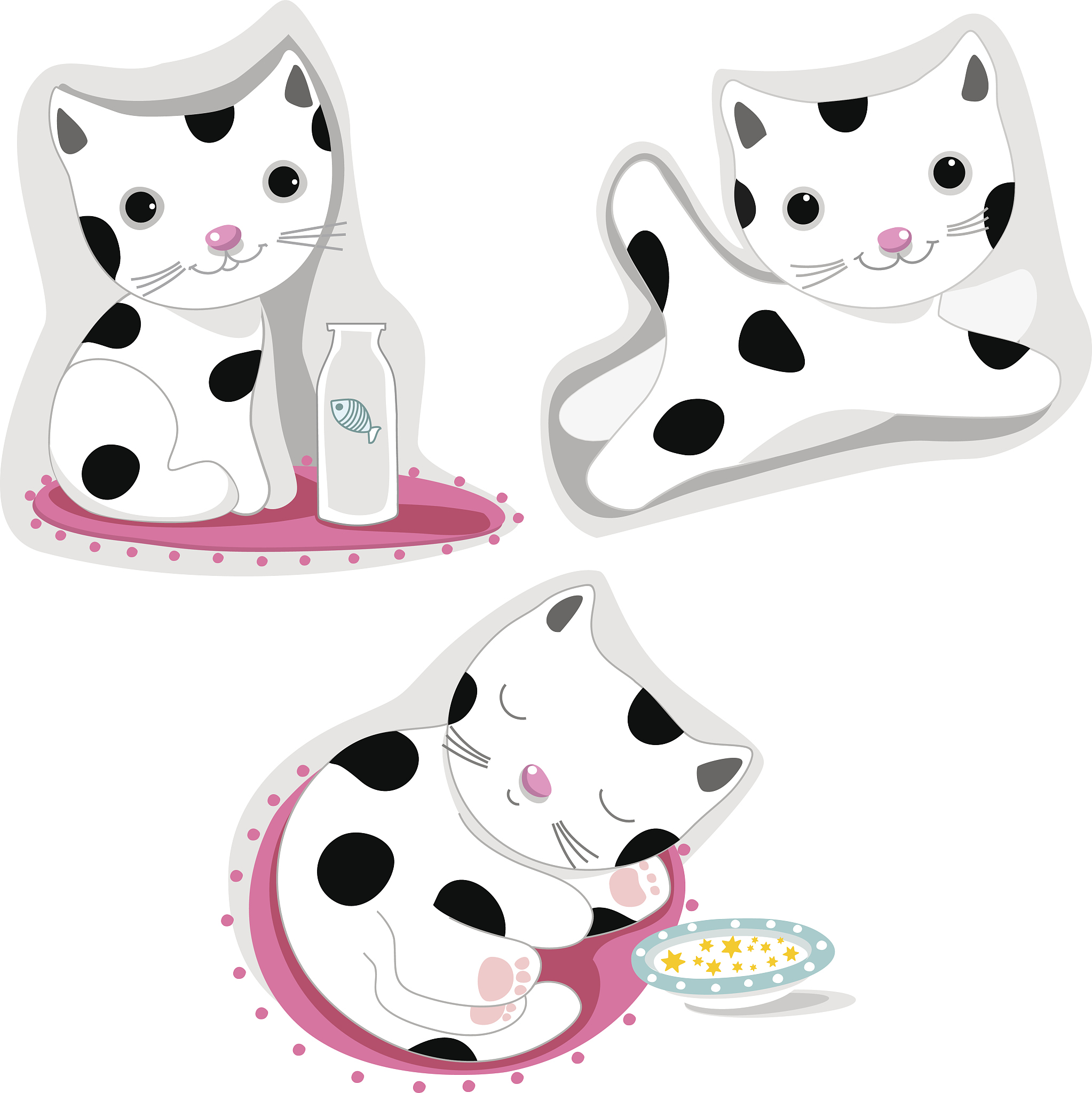 小猫的故事长度