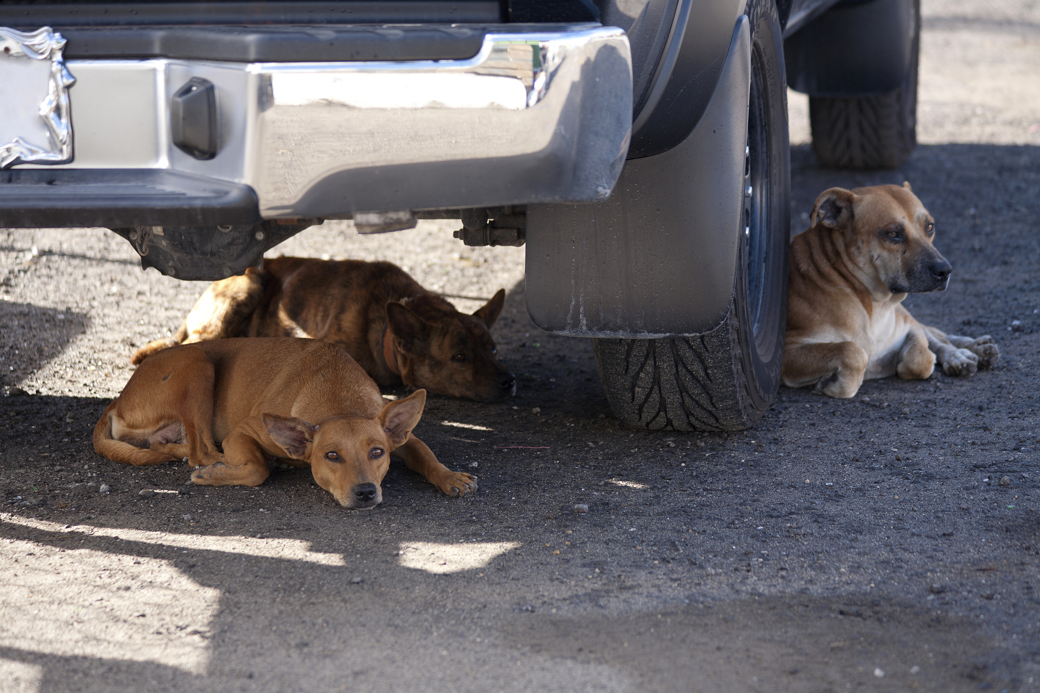 写一段关于老毕洗屁股的故事,200字