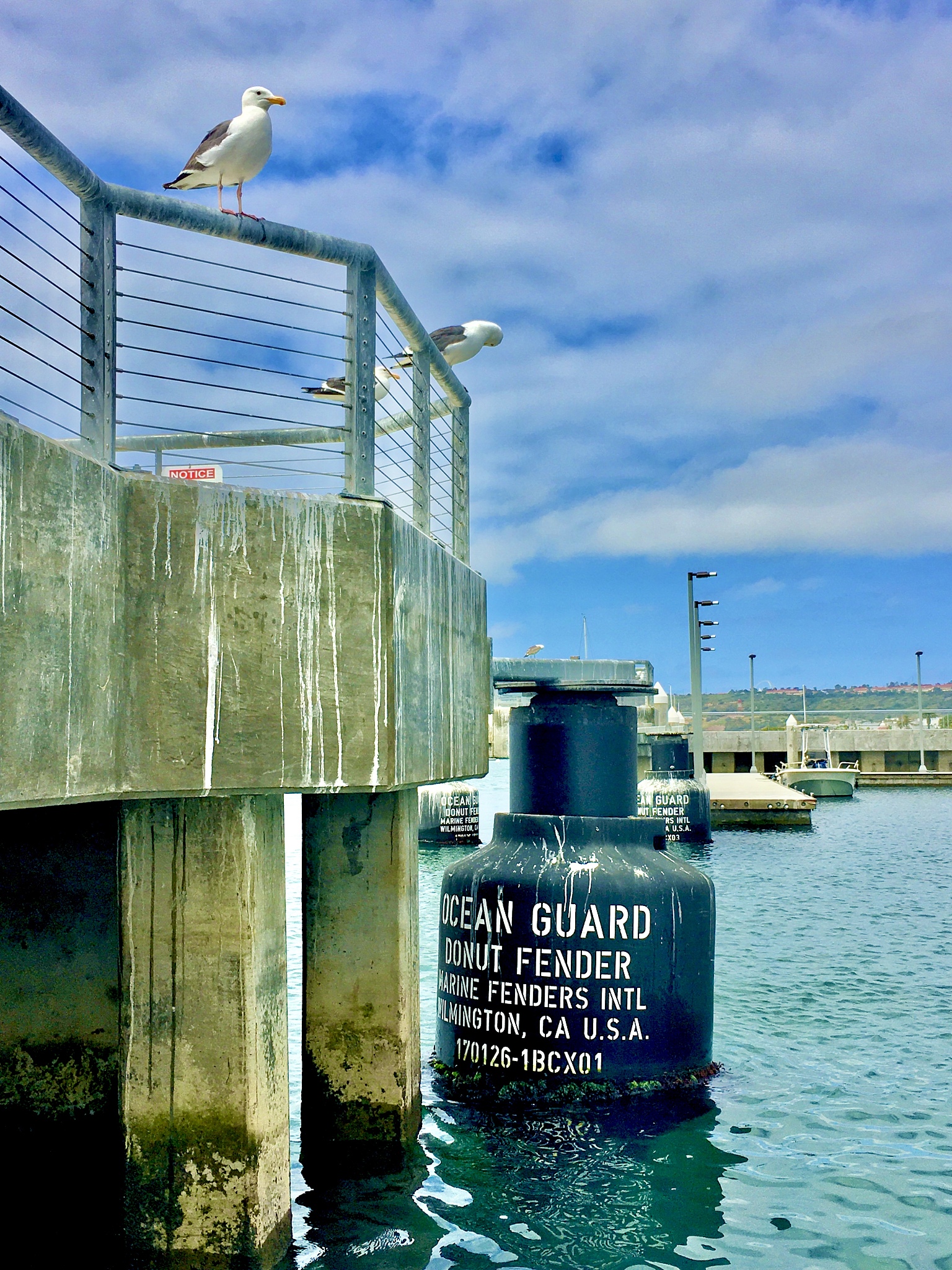 Cargo Damage Report - Container EITU1842706 - Water Damage Suspected