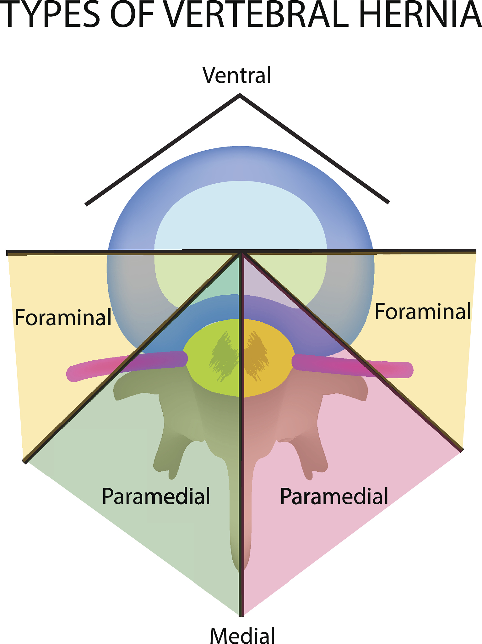 霍夫斯泰德文化维度理论：解析TikTok英国扩张中的人员流动与文化冲突