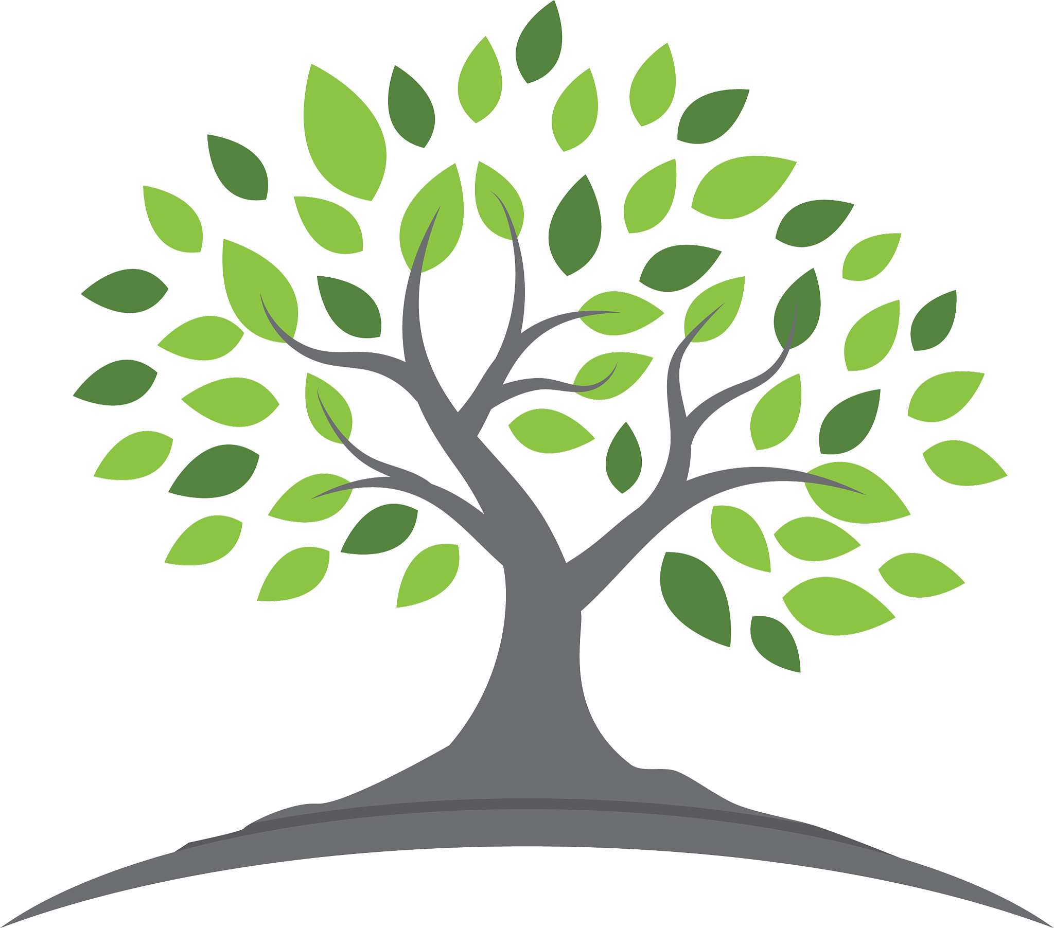 tree leaf ecology nature design