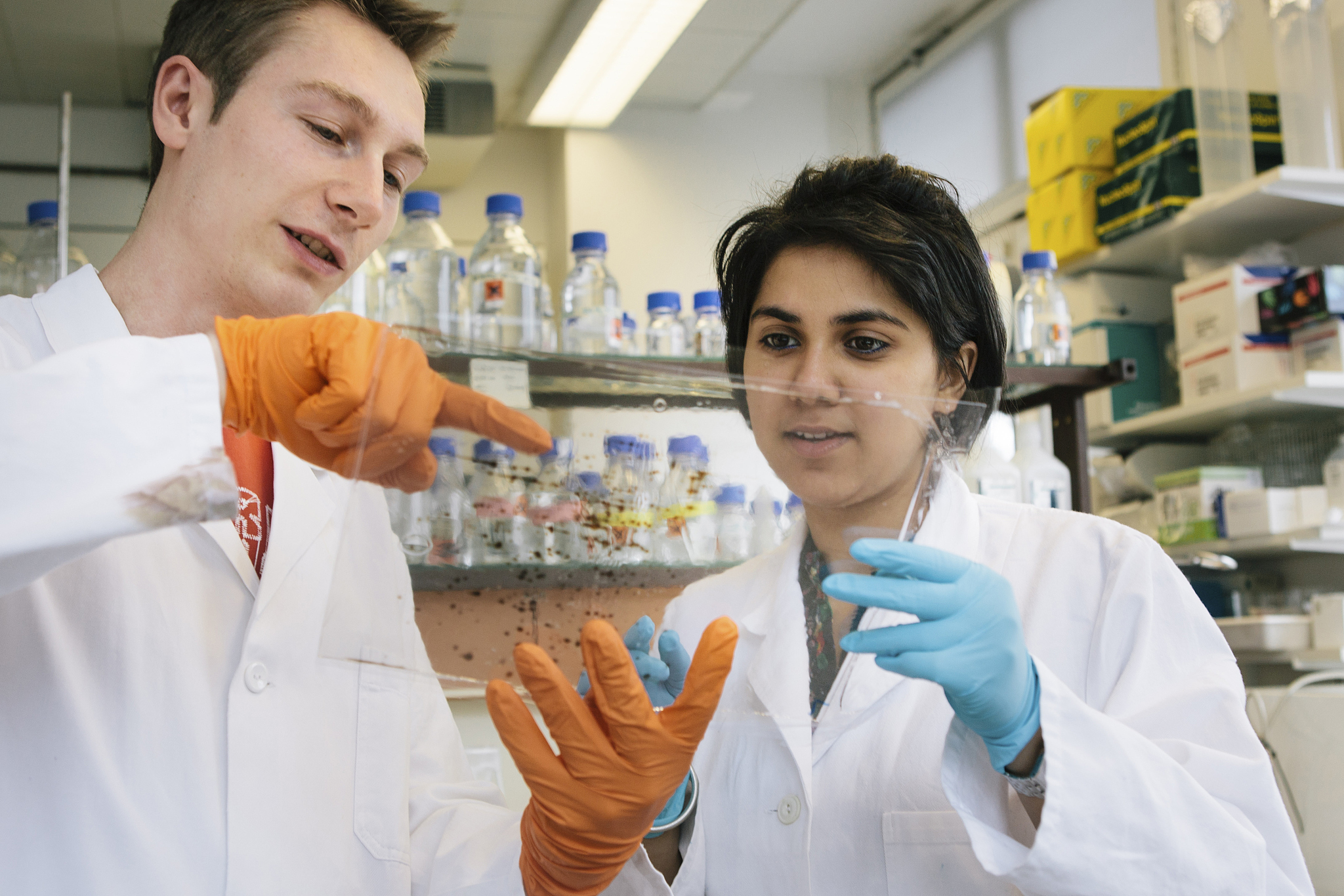 ELECTROPHORESIS 期刊推荐：涵盖广泛、学术权威、影响力强