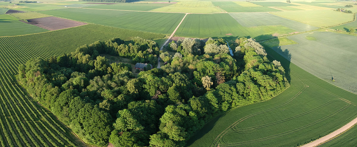 请大家围绕展现党的十八大以来林草事业取得的重大成就依托林草基层一线和社会各界在国土绿化、国家公园建设、湿地保护、防沙治沙、野生动植物保护等领域涌现出的先进人物和典型事迹为依托进行书写