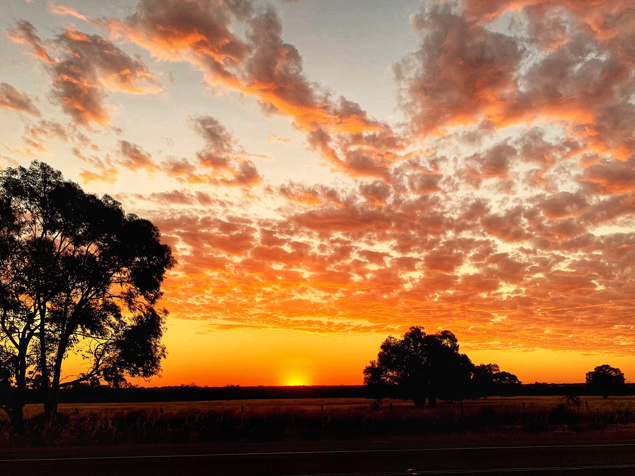 请你写5句赞美日落的句子体现生活气息