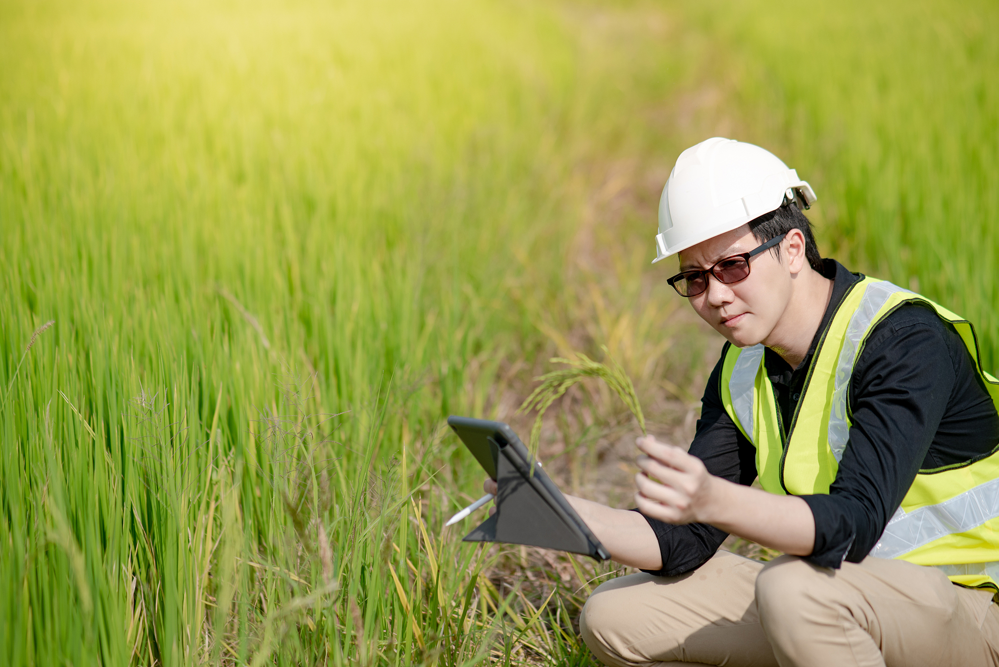 武汉市农业学校哪些专业热门？就业前景分析