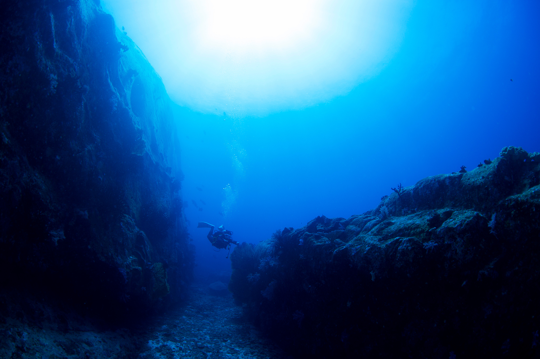 man scuba diving in sea