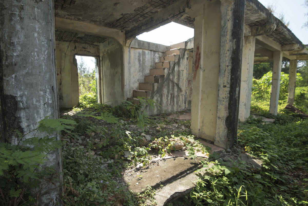 海啸钢琴为什么长得不一样回答加拓展。