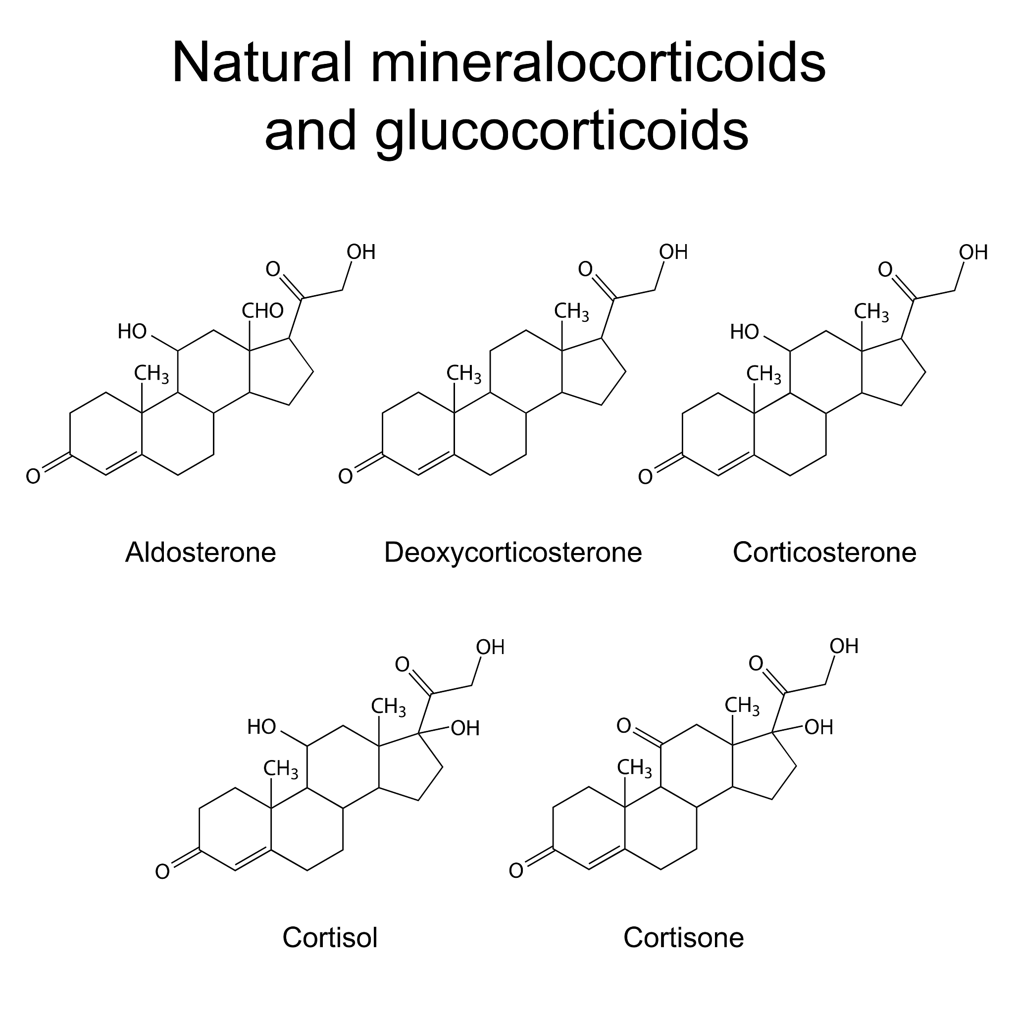 Cerium-based Chemical Conversion Membrane (CCM): Properties & Applications