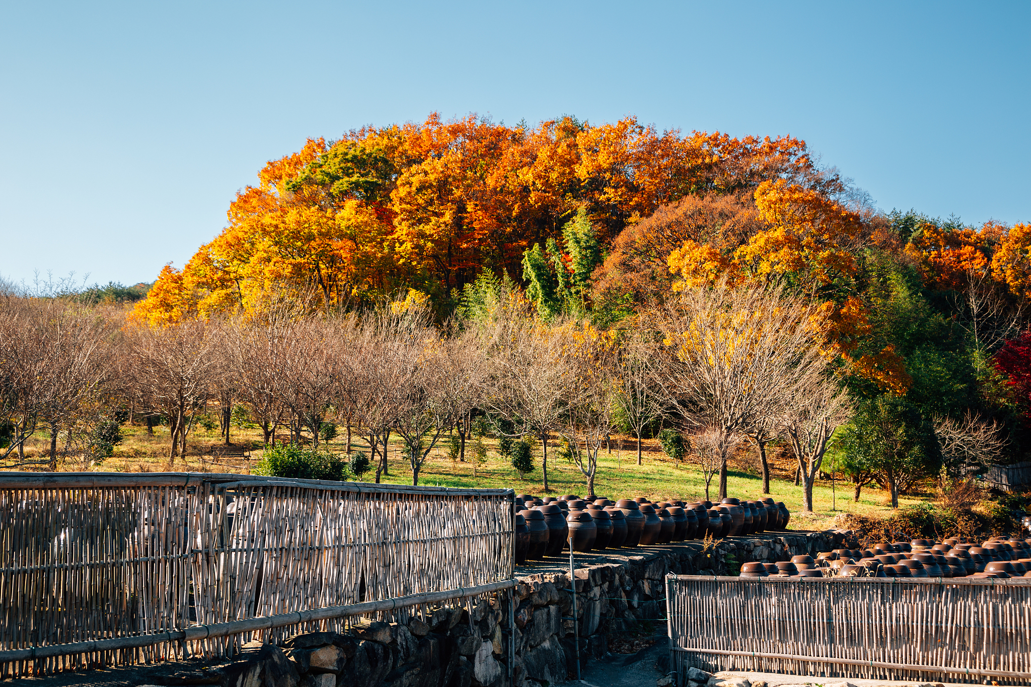 tongdosa temple seowoonam at autumn in yangsan, korea