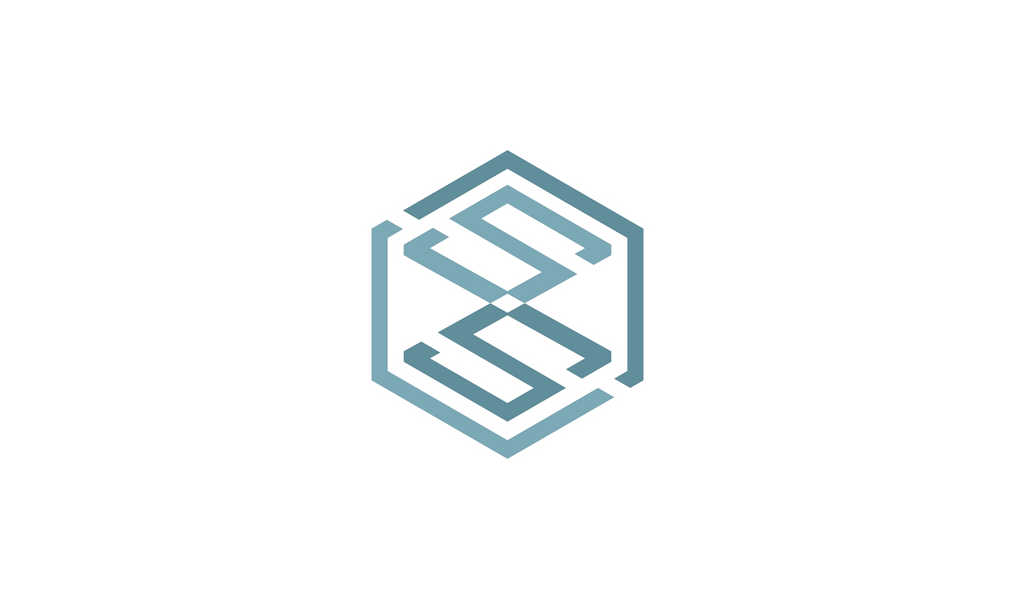 double letter s hexagonal logo