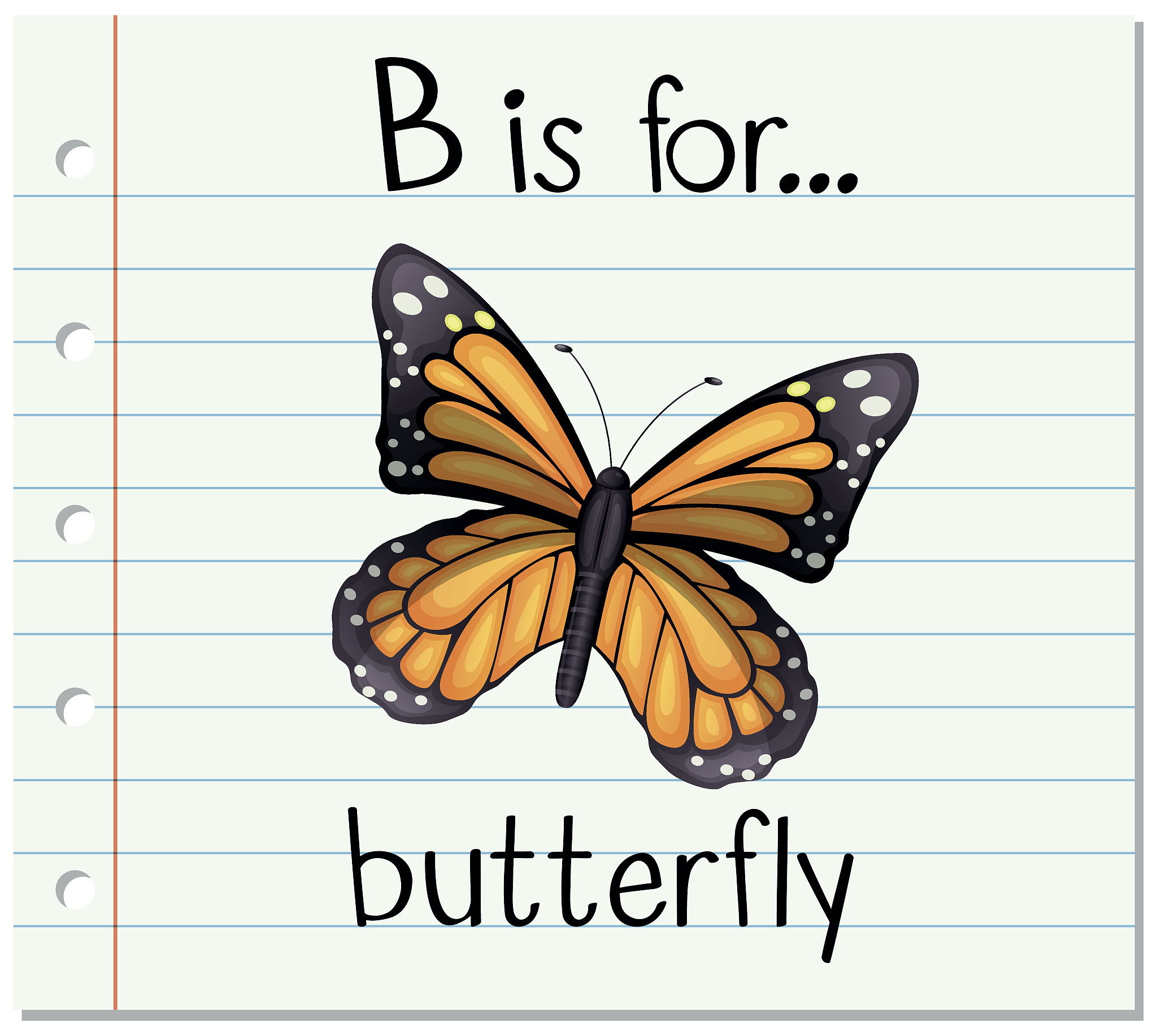 Firefly in English: What is the word for firefly?