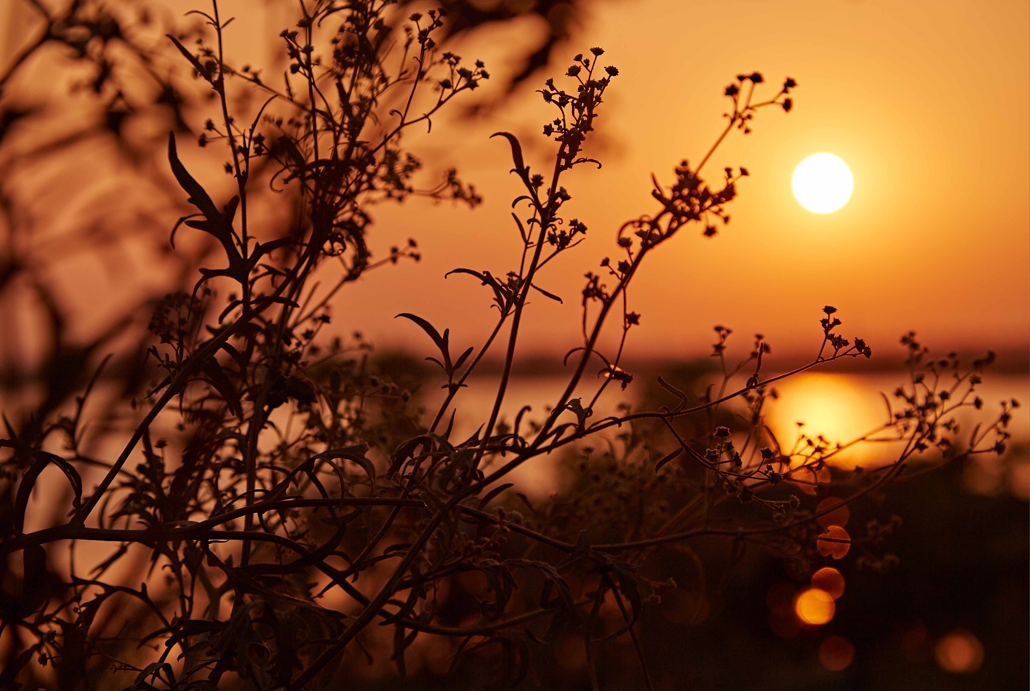 天将暮色，寒气渐凝：用10个古文四字短语描绘黄昏时刻的温度值0.9