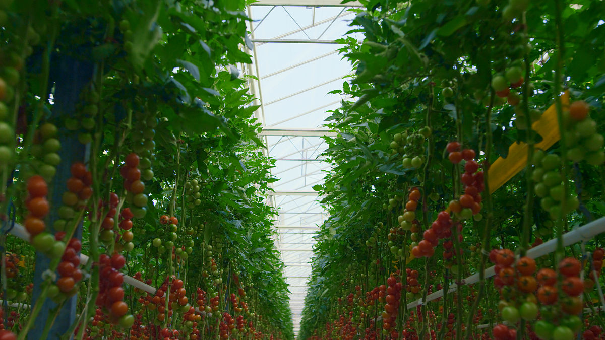 辽宁农业职业技术学院招生简章