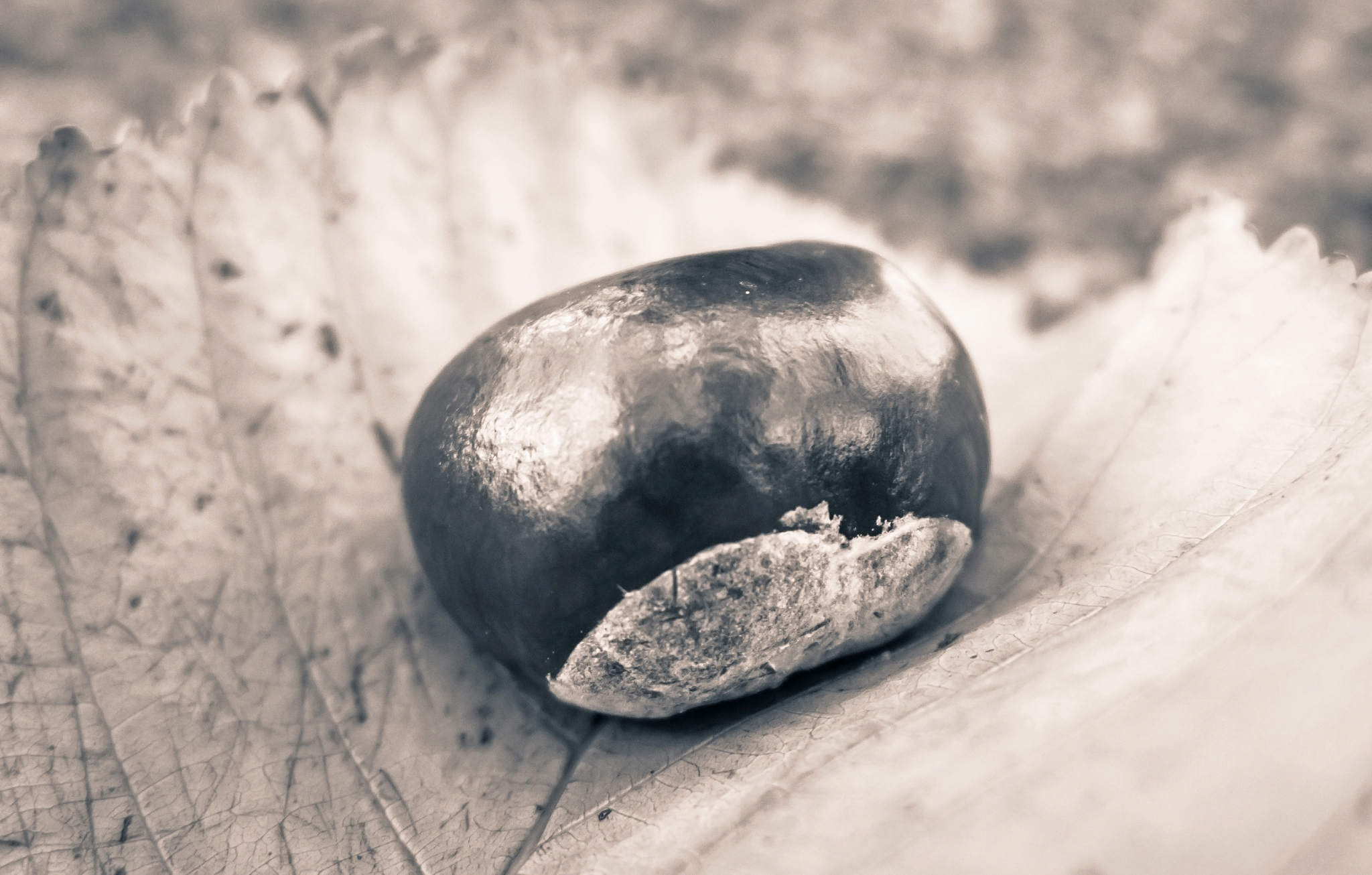 大连海洋学校地址在哪？