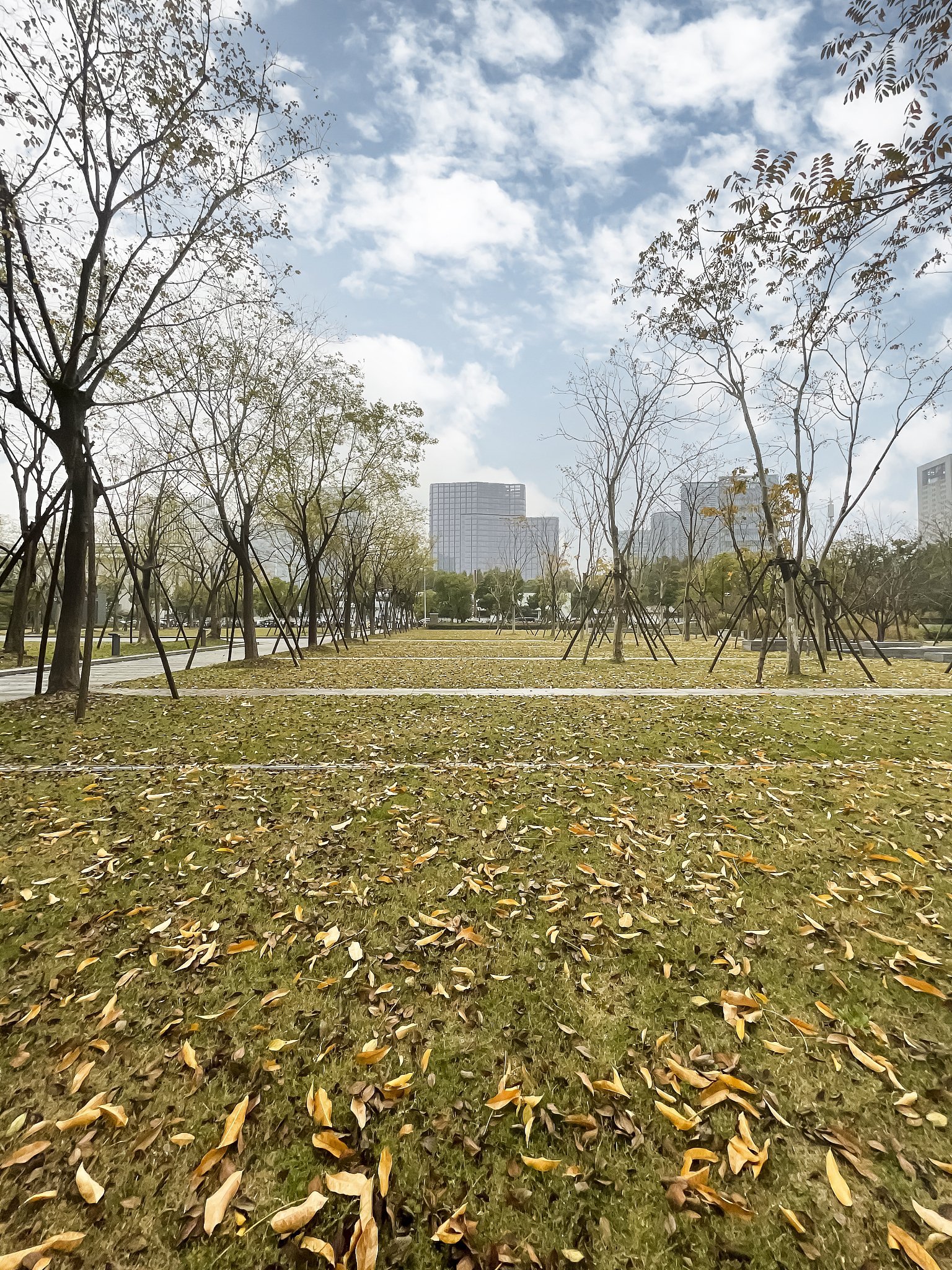 杭州万向职业技术学院观光农业专业：实用性分析与课程设置