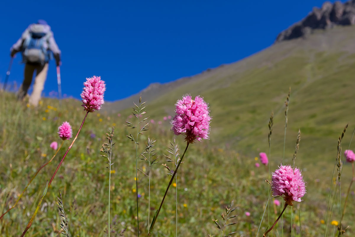 每日攀登手游更新日志