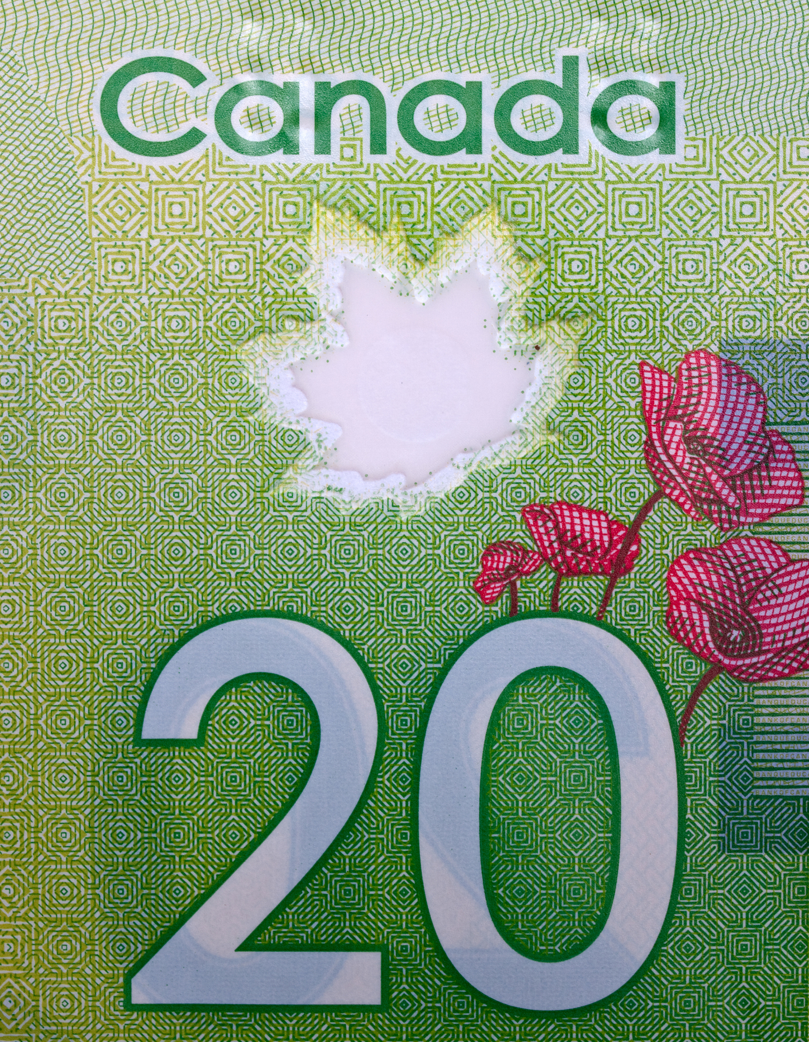 写一段迎大运省会 展文明形象银行针对文明窗口开展系列活动的文章