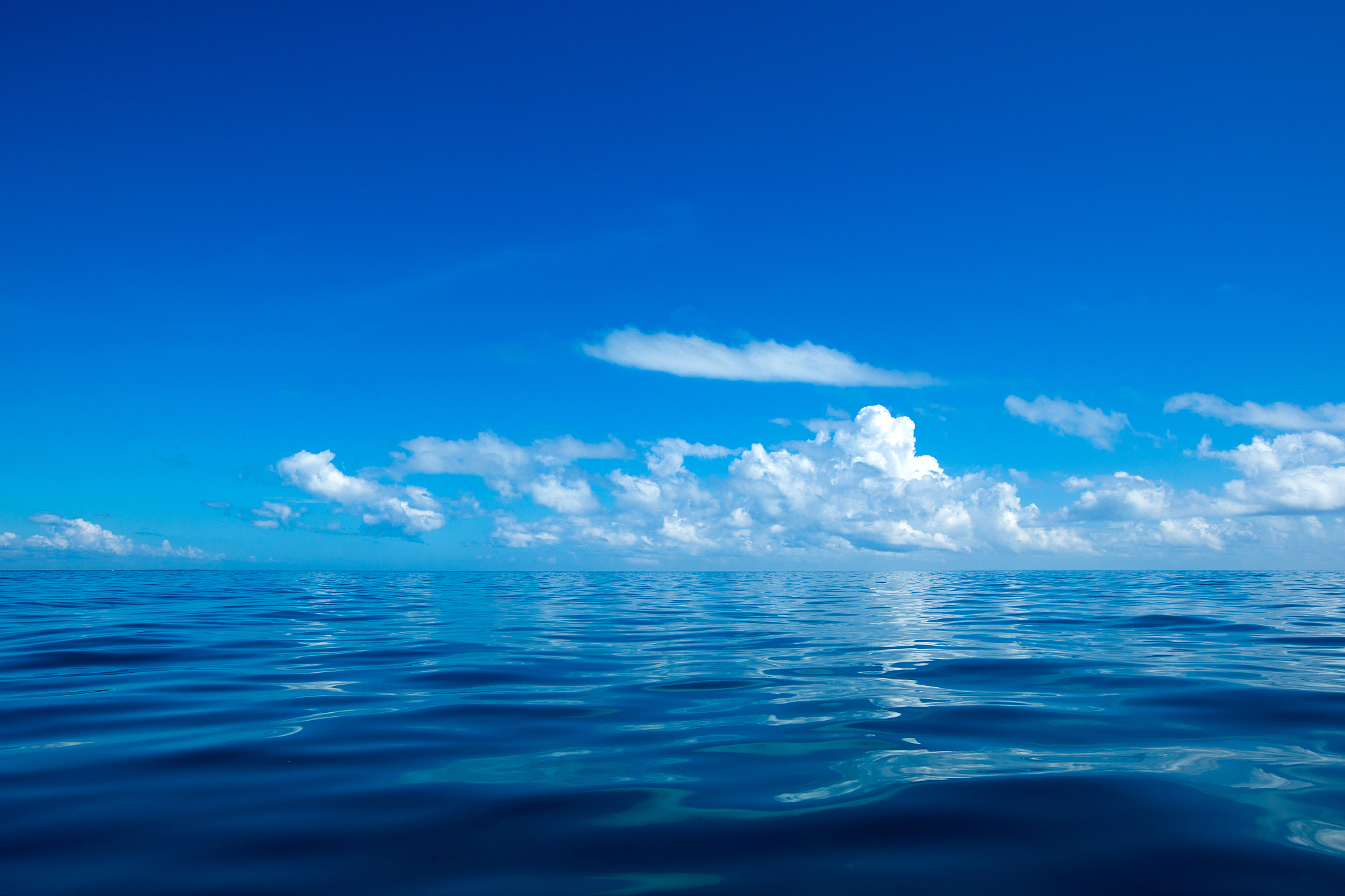 用My favorite color is blue续写一篇中国小学生能看懂的英文短文