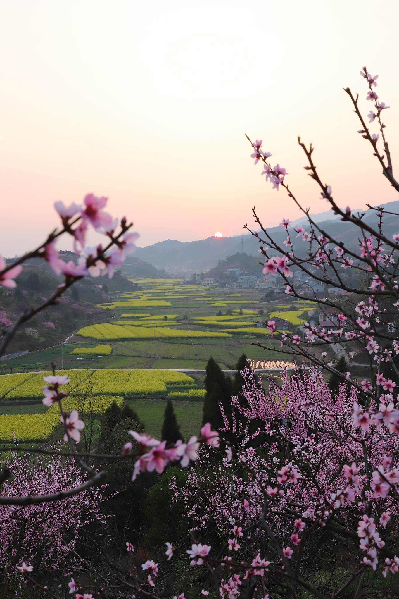 三月桃花水，怎能不令人沉醉？
