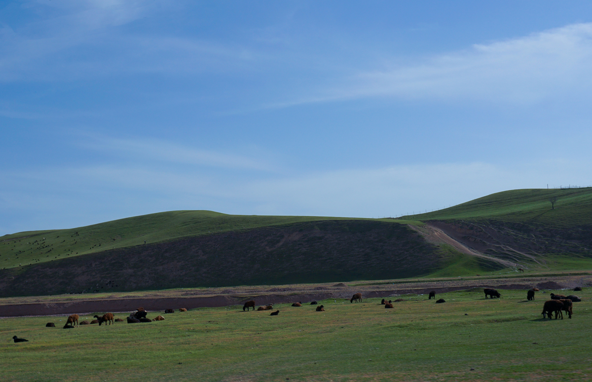 内蒙古：中国北部的草原之魂