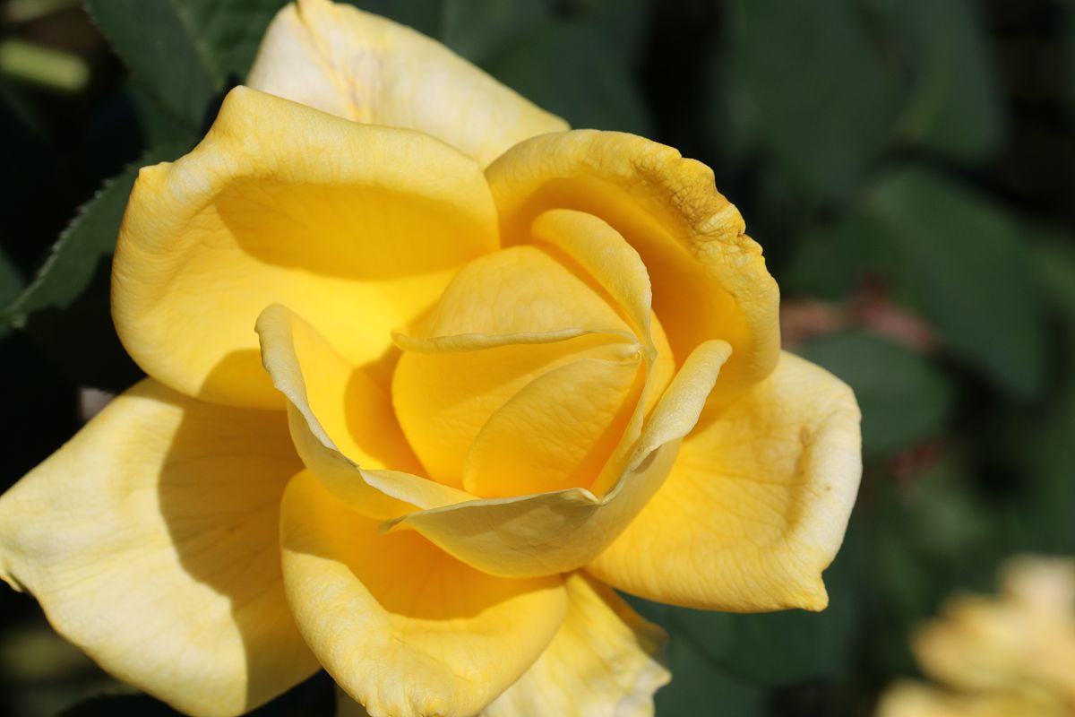 黄冈科技职业学院商务日语专业怎么样？就业前景、课程设置及师资力量解析