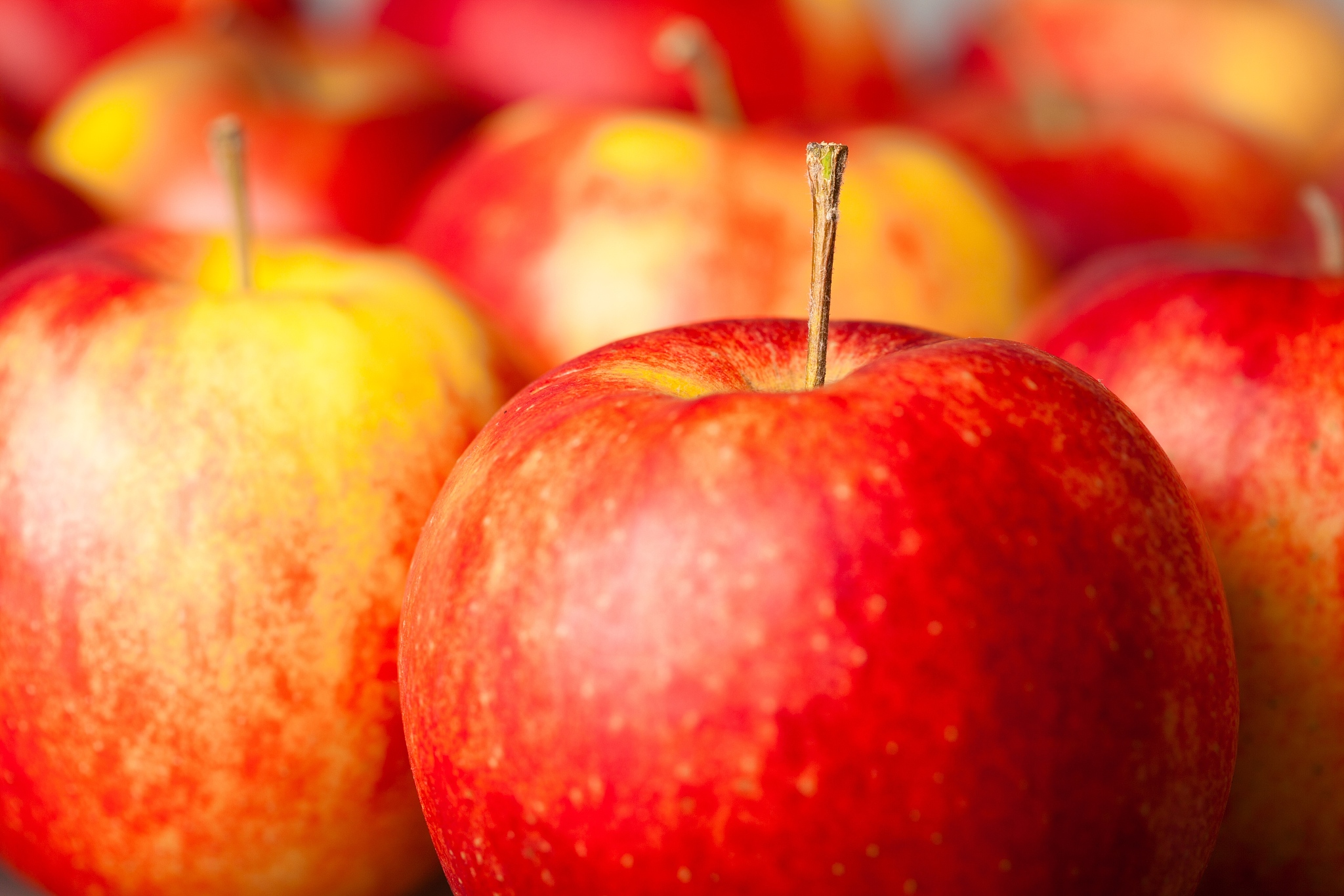 apple.