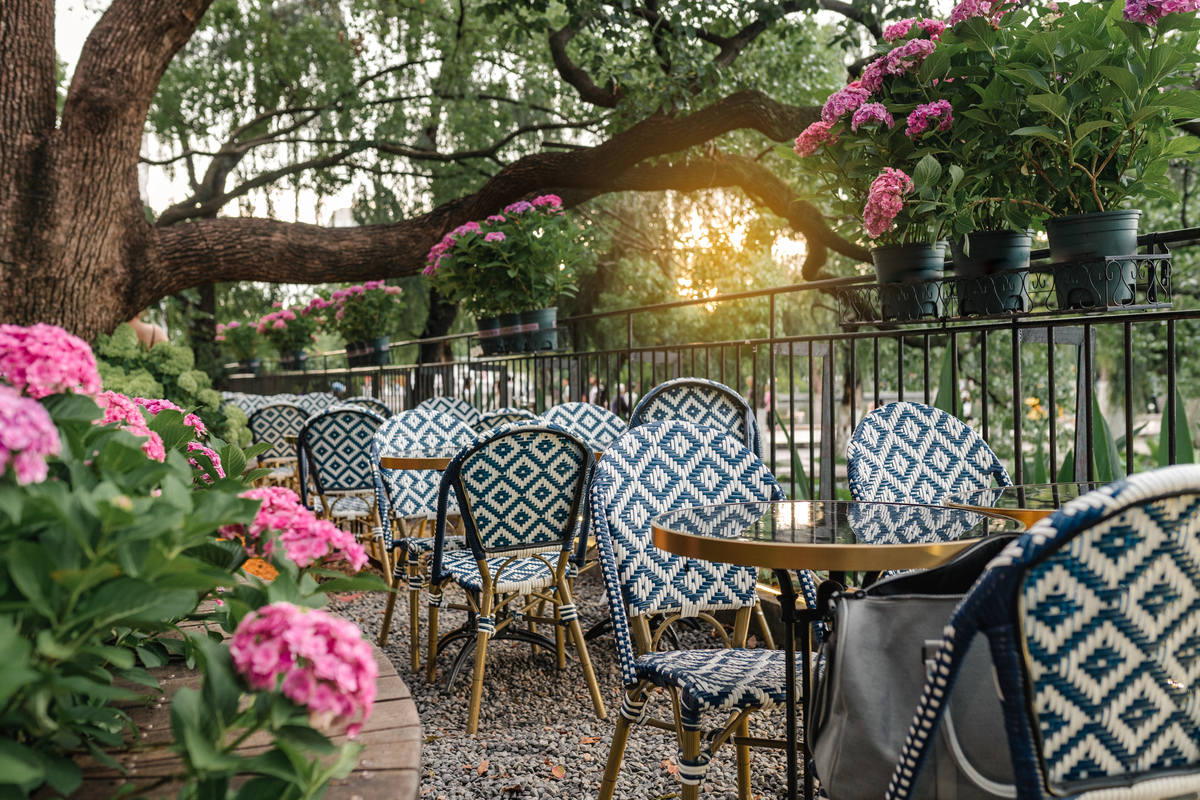 在小院里寻找夏天的快乐。