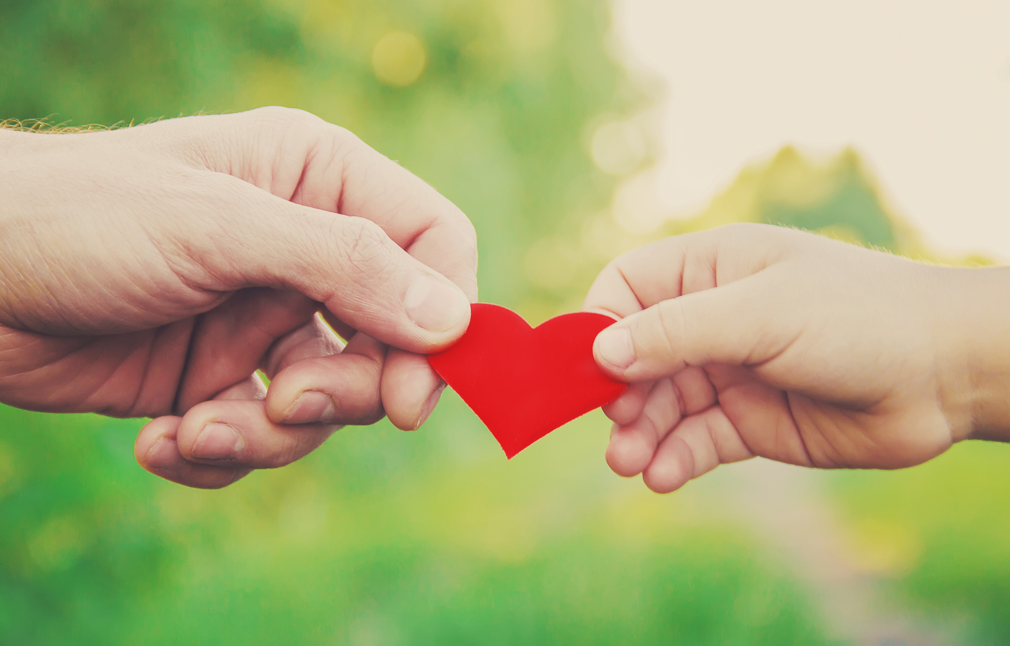 将心比心：构建和谐共融的社会基石