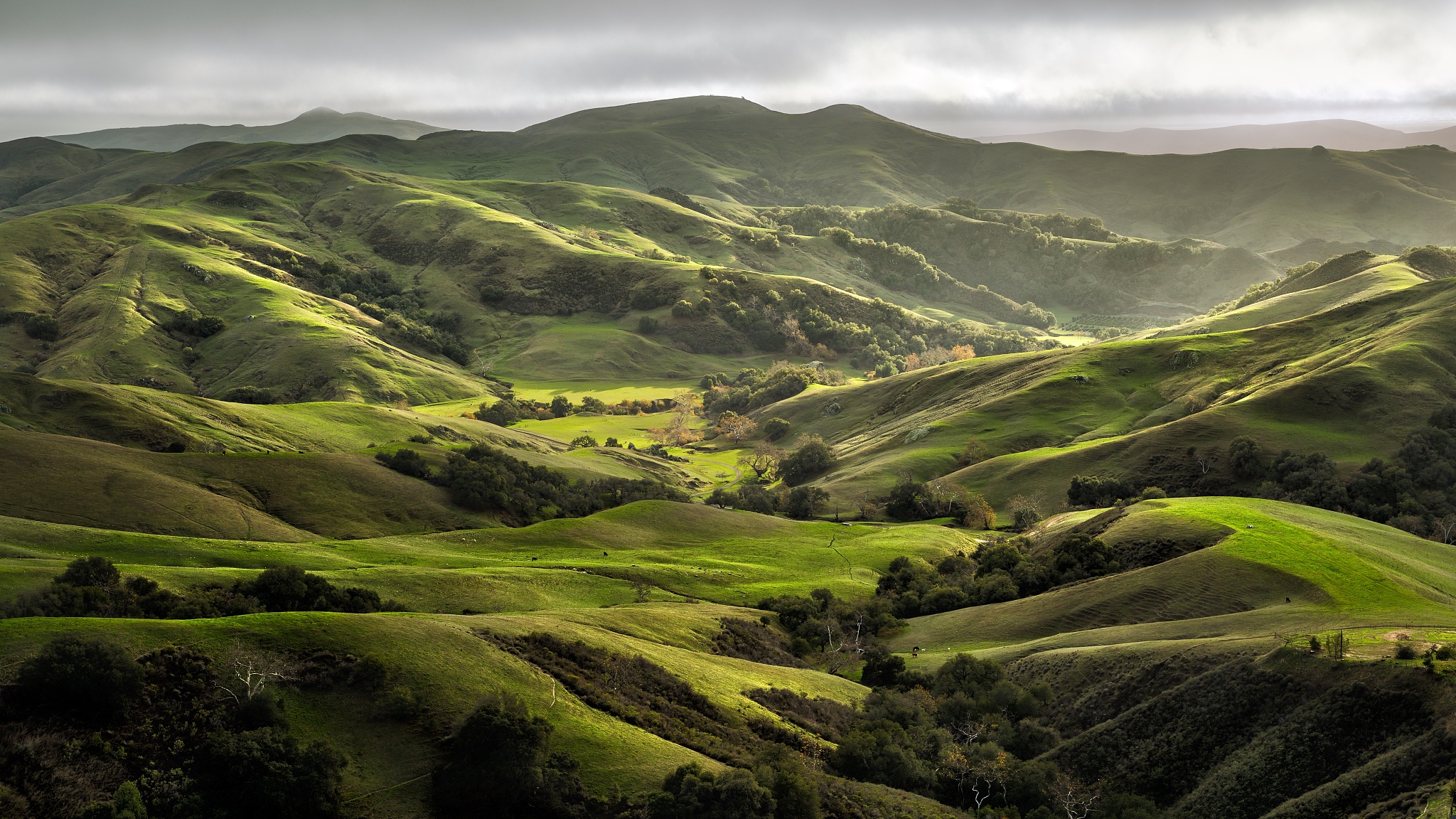 cambrian hills