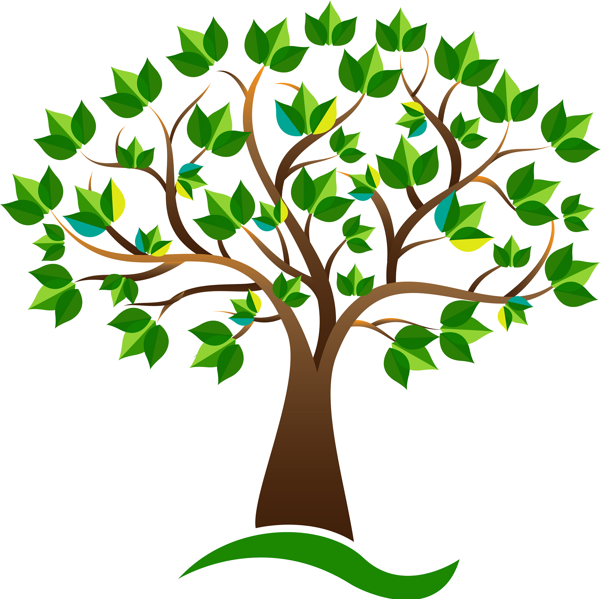 ecology environmental tree