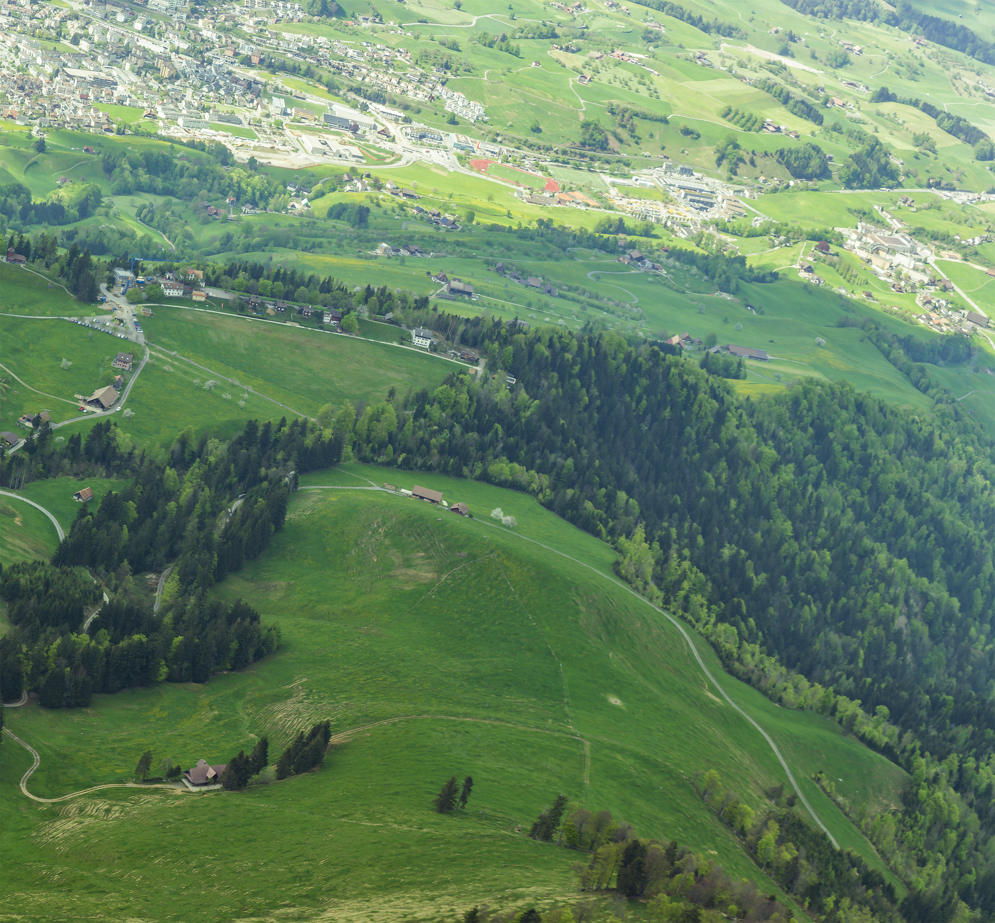 green grass field on top of rigi kulm luzern switzerland with al