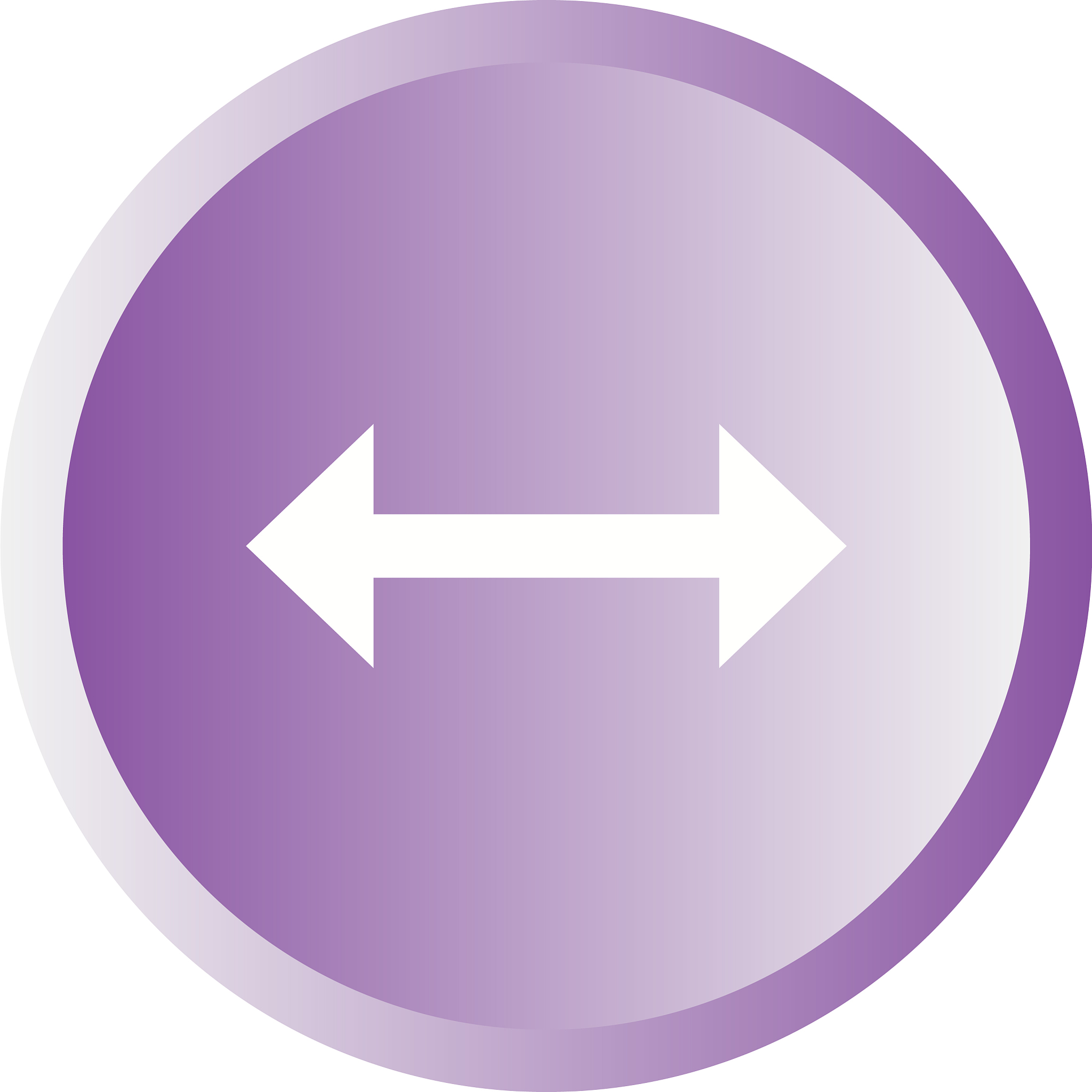 beautiful left right arrow glyph icon