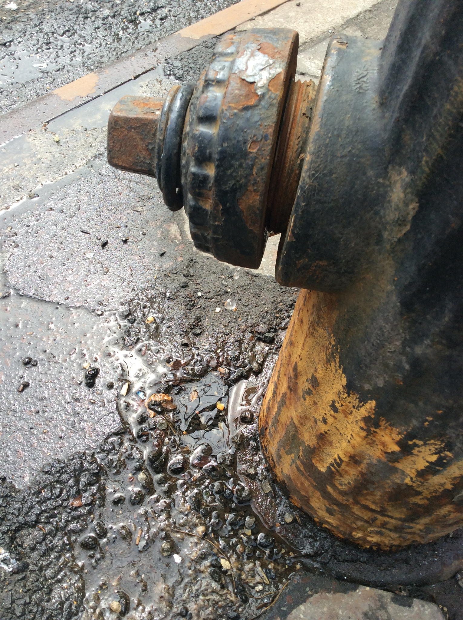 拉萨市河长制建设问题研究：必要性与意义