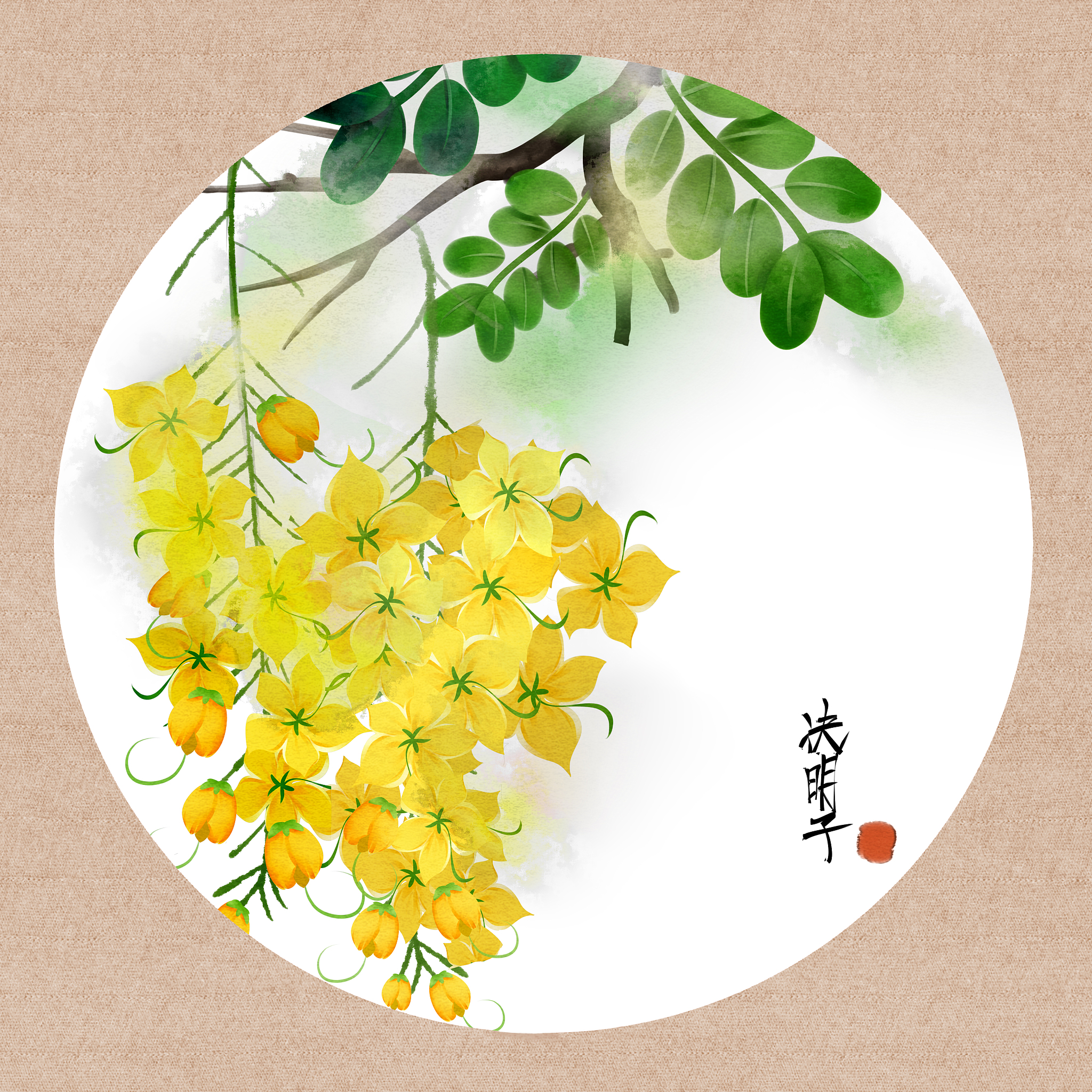 决明子玩具沙安全风险：全面了解并做好防护