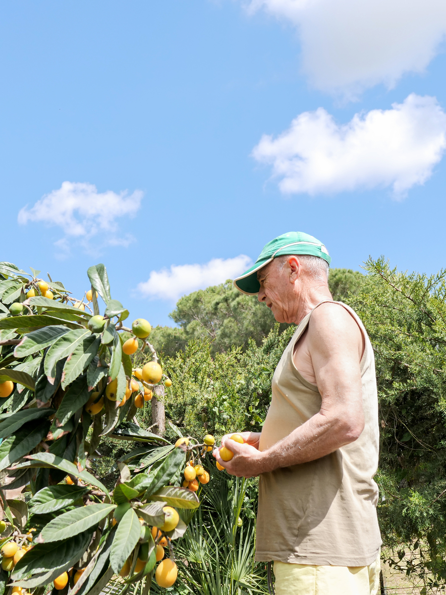 黄金果枇杷浓缩汁加工设备助力枇杷产业发展