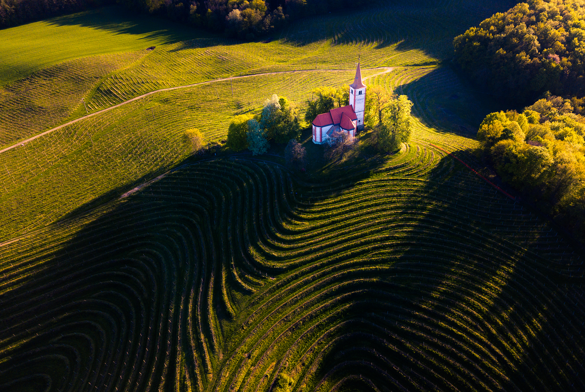 从农业工作类型看秦岭淮河一线是我国什么和什么的分界线从农业工作类型来看秦岭淮河一线是我国南北农业的分界线。南方以种植水稻、茶叶、糖料、油料等为主而北方以种植小麦、玉米、高粱、豆类等为主。秦岭淮河一线正好分隔了这两个不同的农业区域。向南方延伸气候逐渐湿润适合种植亚热带作物如柑橘、荔枝、菠萝等。向北方延伸气候逐渐干旱适合种植耐旱作物如小麦、玉米、高粱等。因此秦岭继续