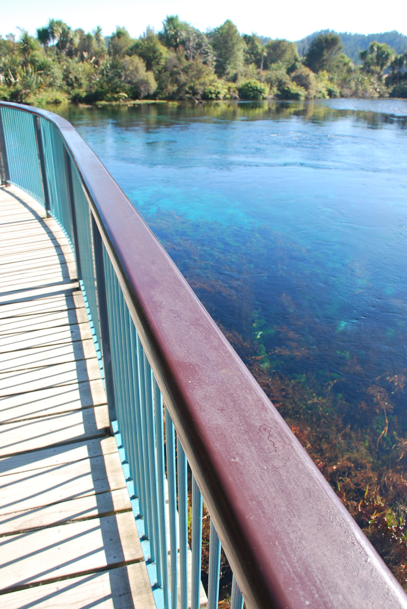 te waikoropupu springs, takaka, golden bay, new zealand