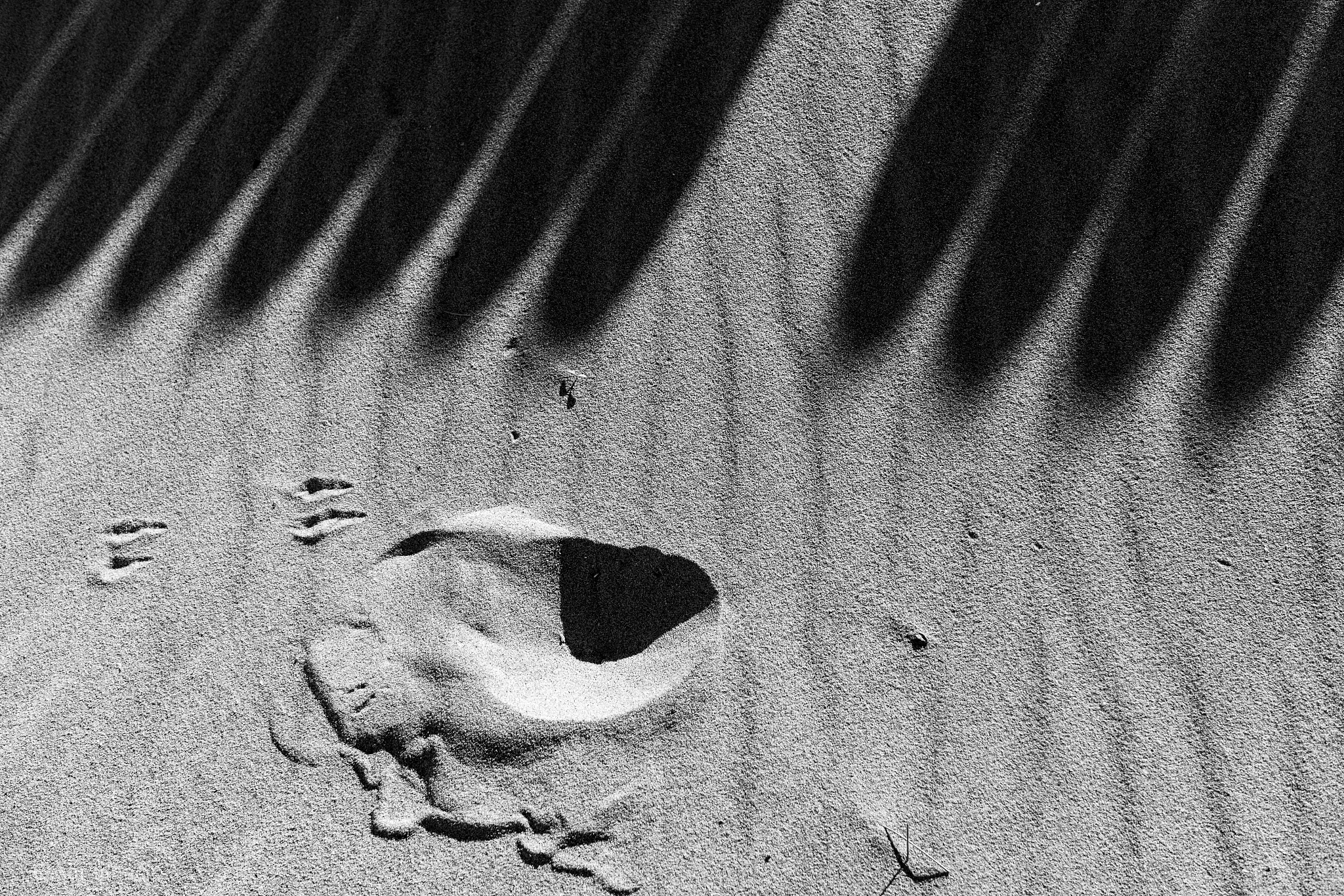 x射线成像图像算法