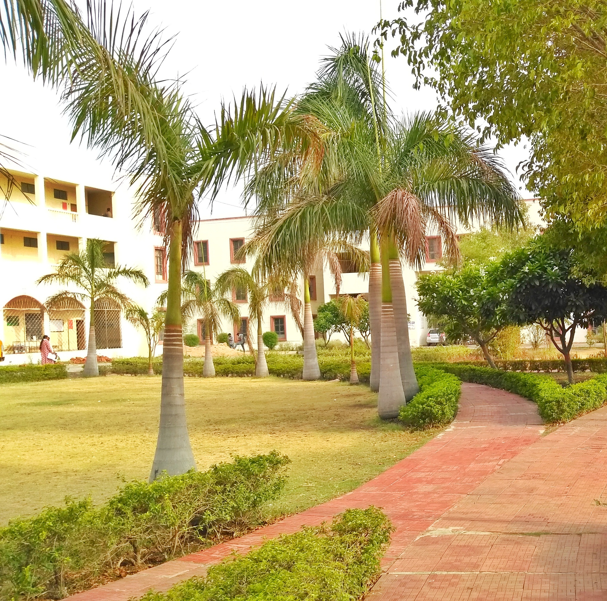 西双版纳职业技术学院园林技术专业怎么样