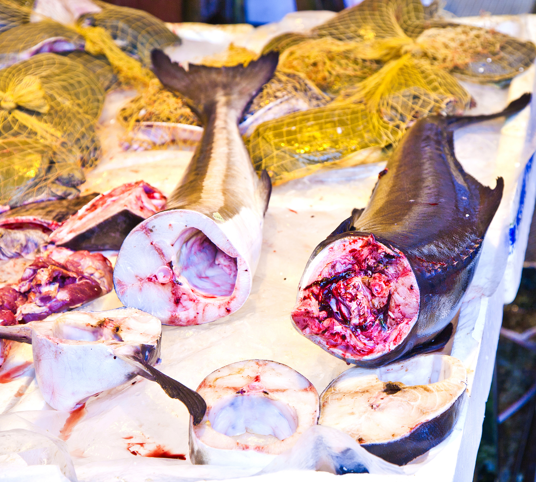 直播间抢购团购踩雷！[餐厅名]环境不错但菜品一般，吊龙肉失望，鱼皮胶不新鲜