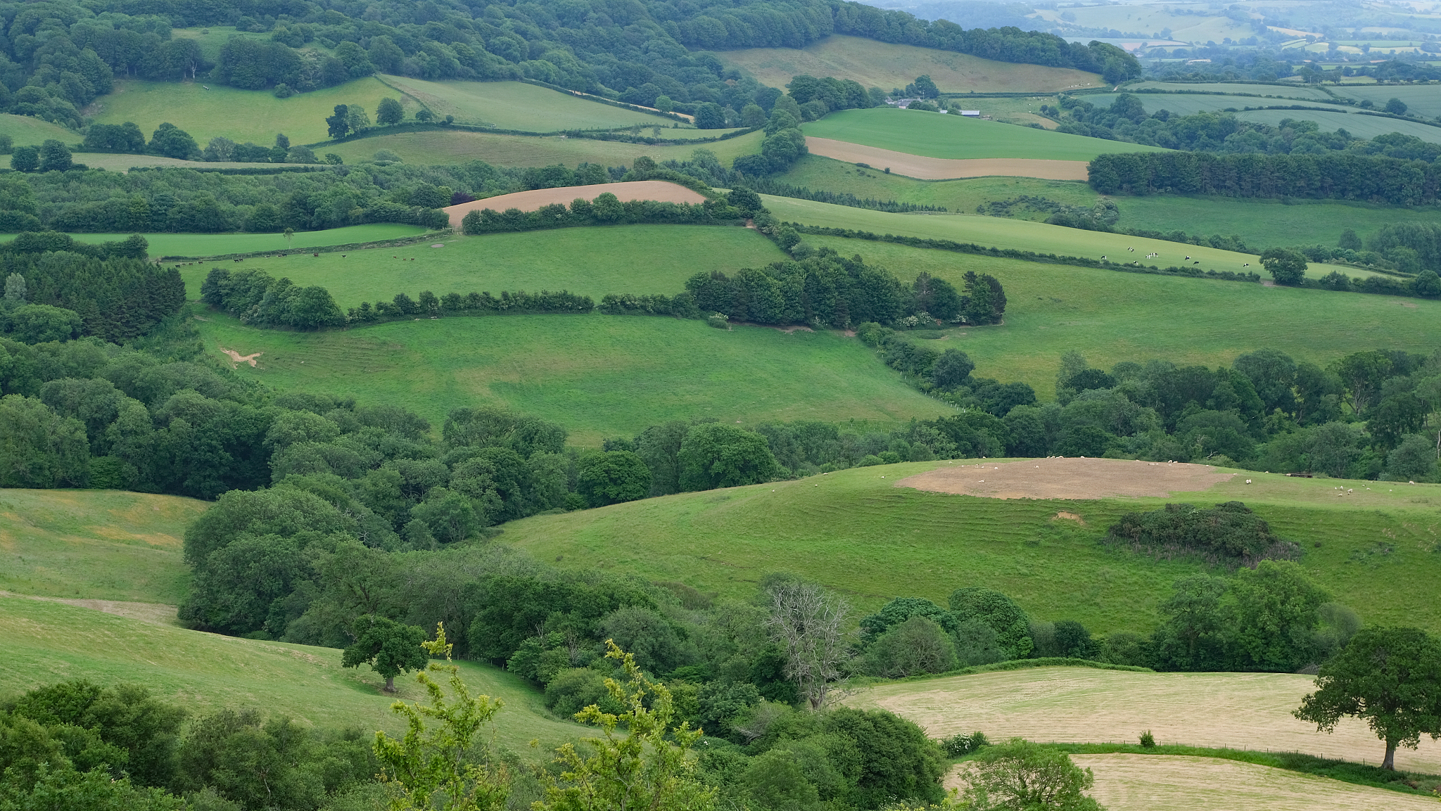 idyllic patchwork fields