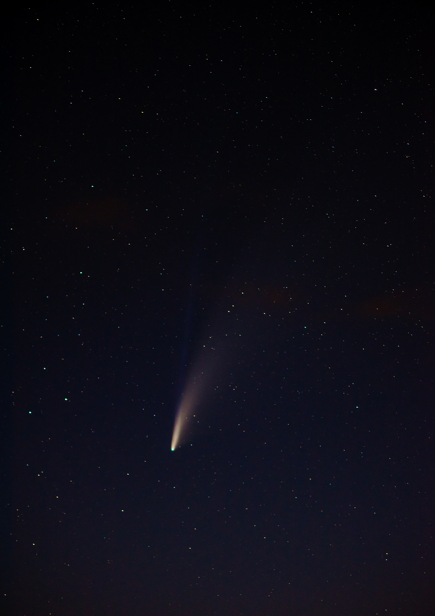 comet neowise c/2020 f3 in the black sky with his tail and other