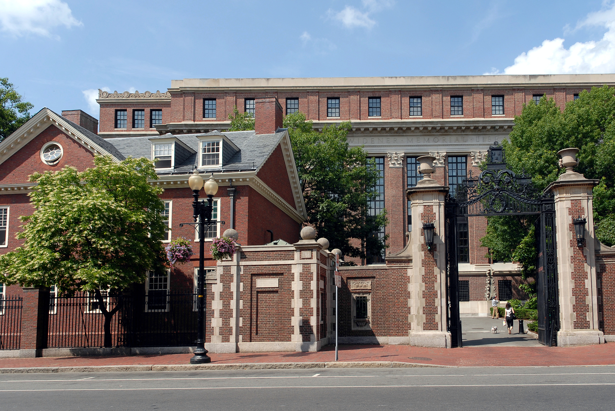 harvard university