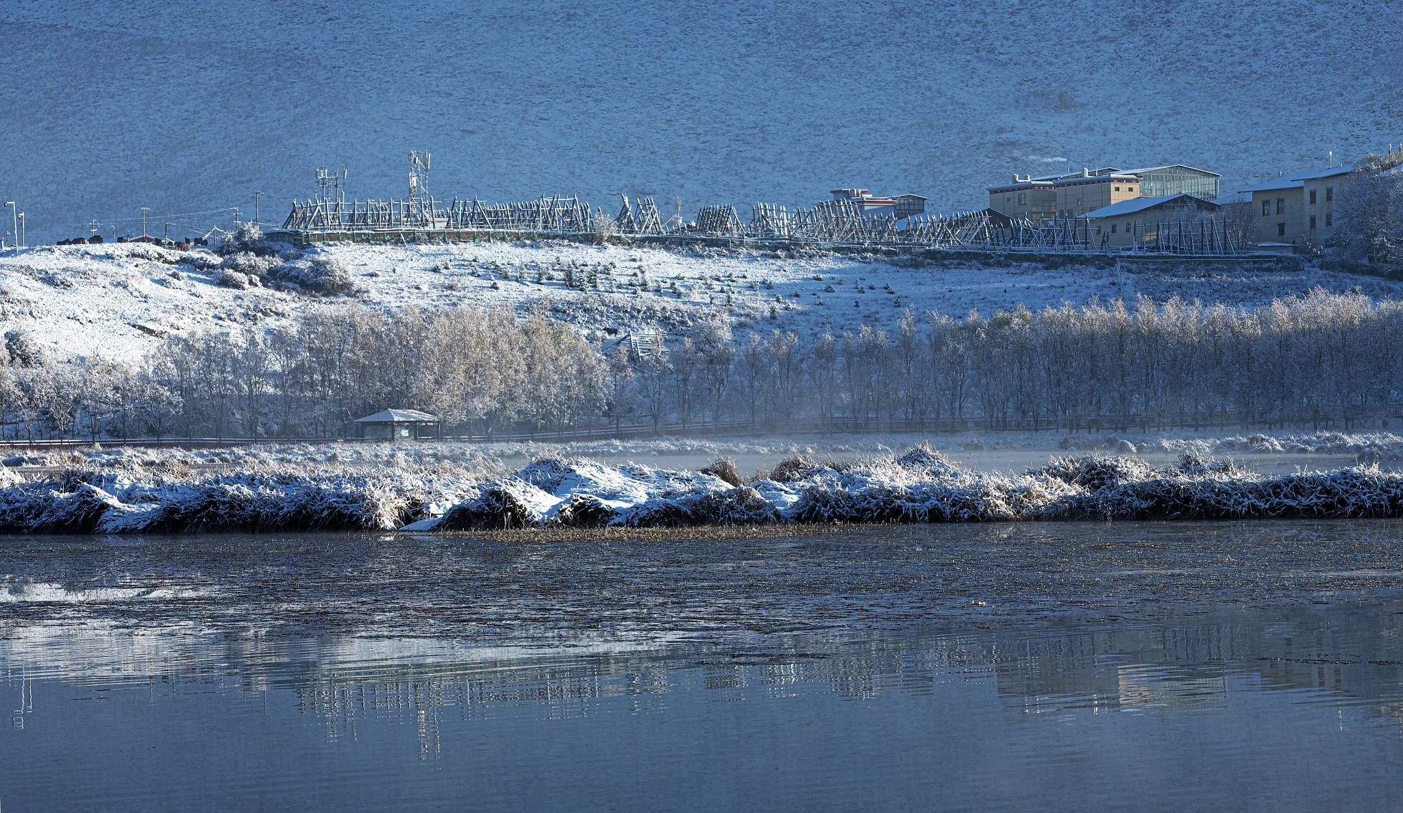 《后林改时期云南林业专业合作社发展问题及对策》论文的研究意义。