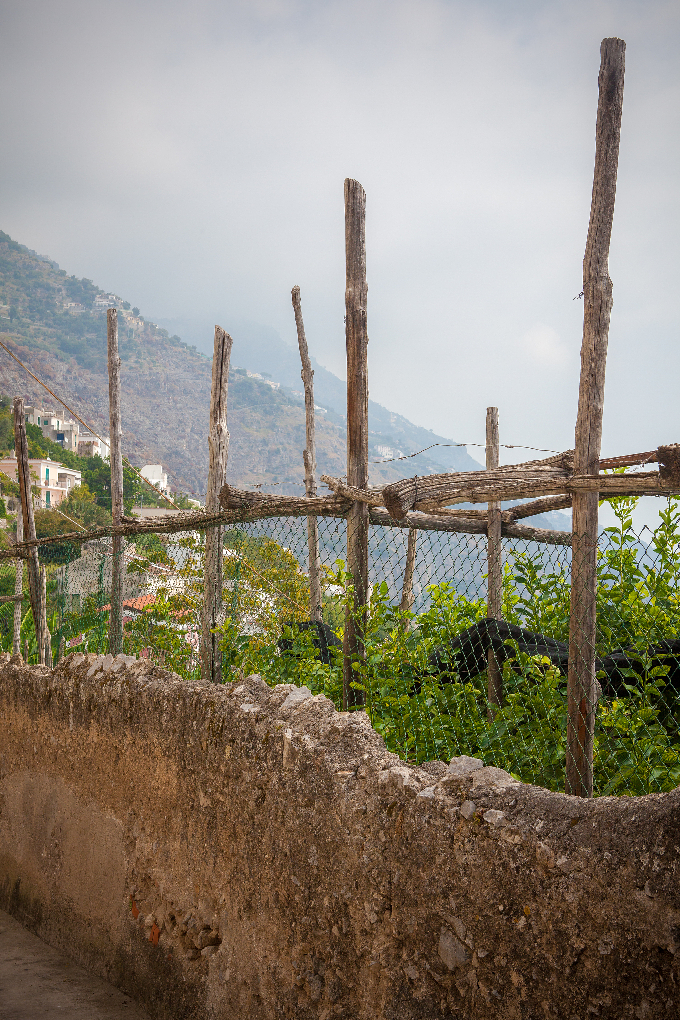 Where Did Pliny the Younger Live? Misenum on the Bay of Naples