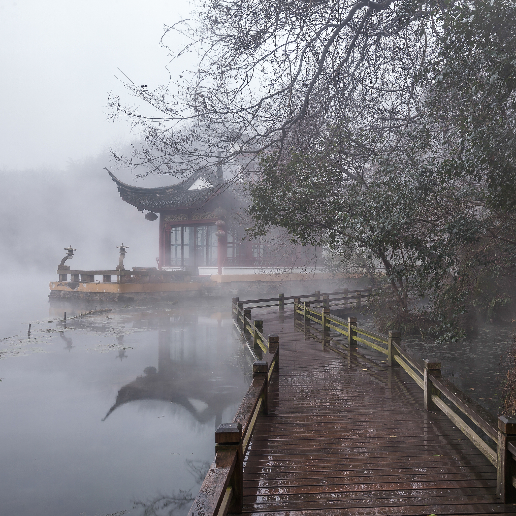 标题：雨夜西湖 写一篇800字文小学作文